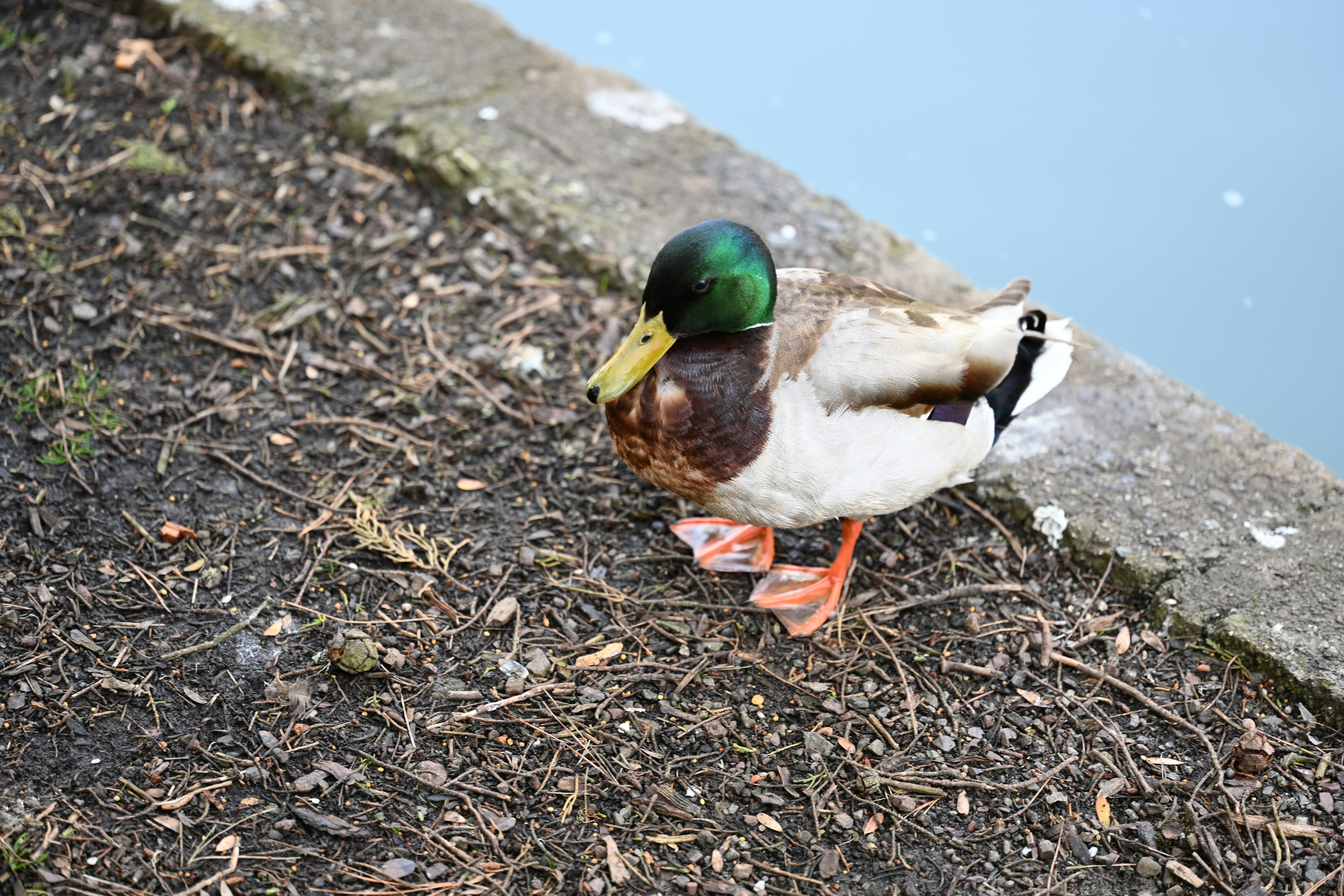 Photo by theunknownaldiaz