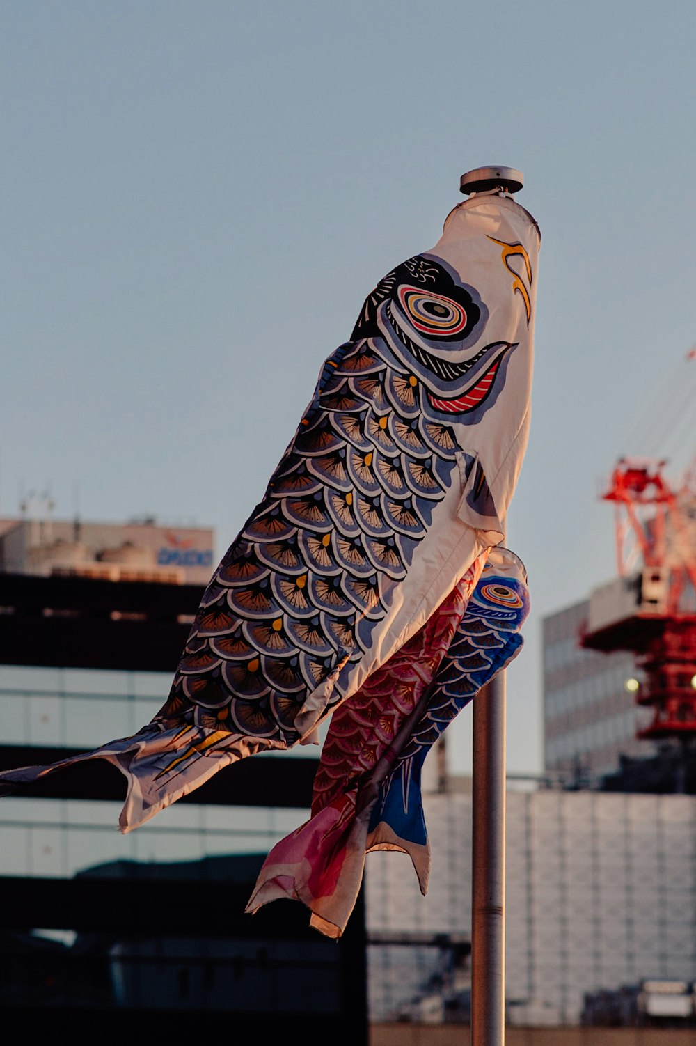 a large fish on a pole