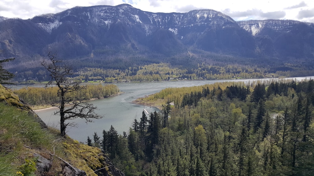 a river running through a valley