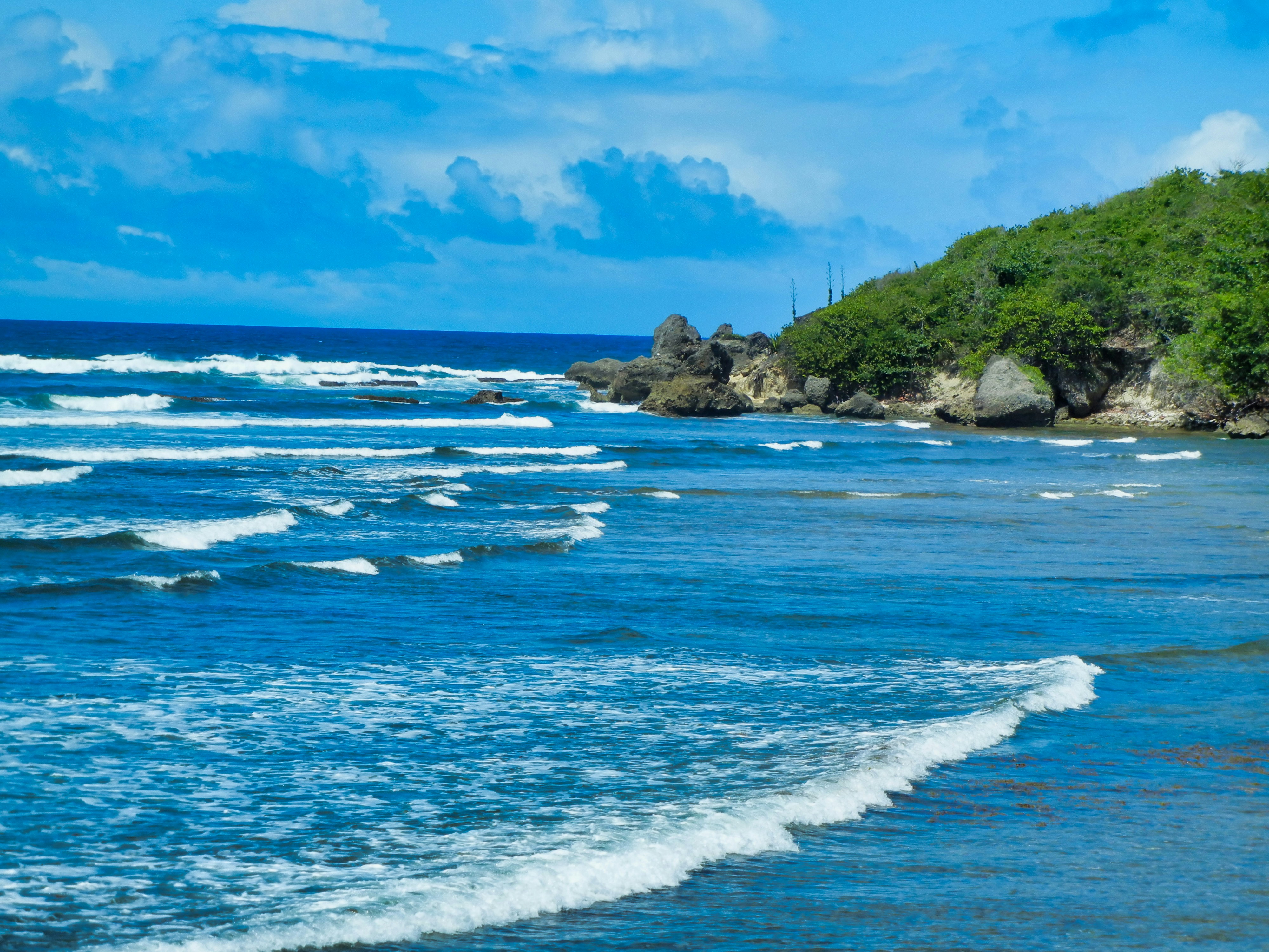 Photo by markagardphoto