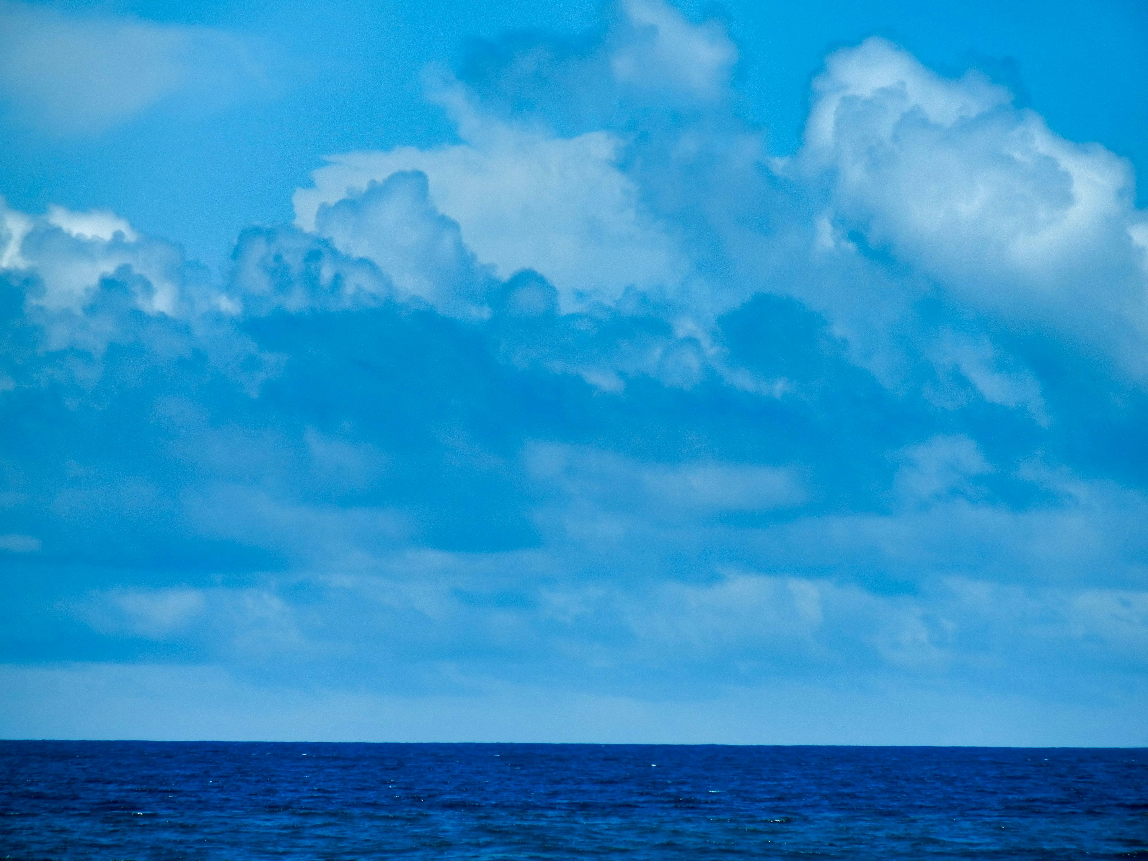 Photo by markagardphoto