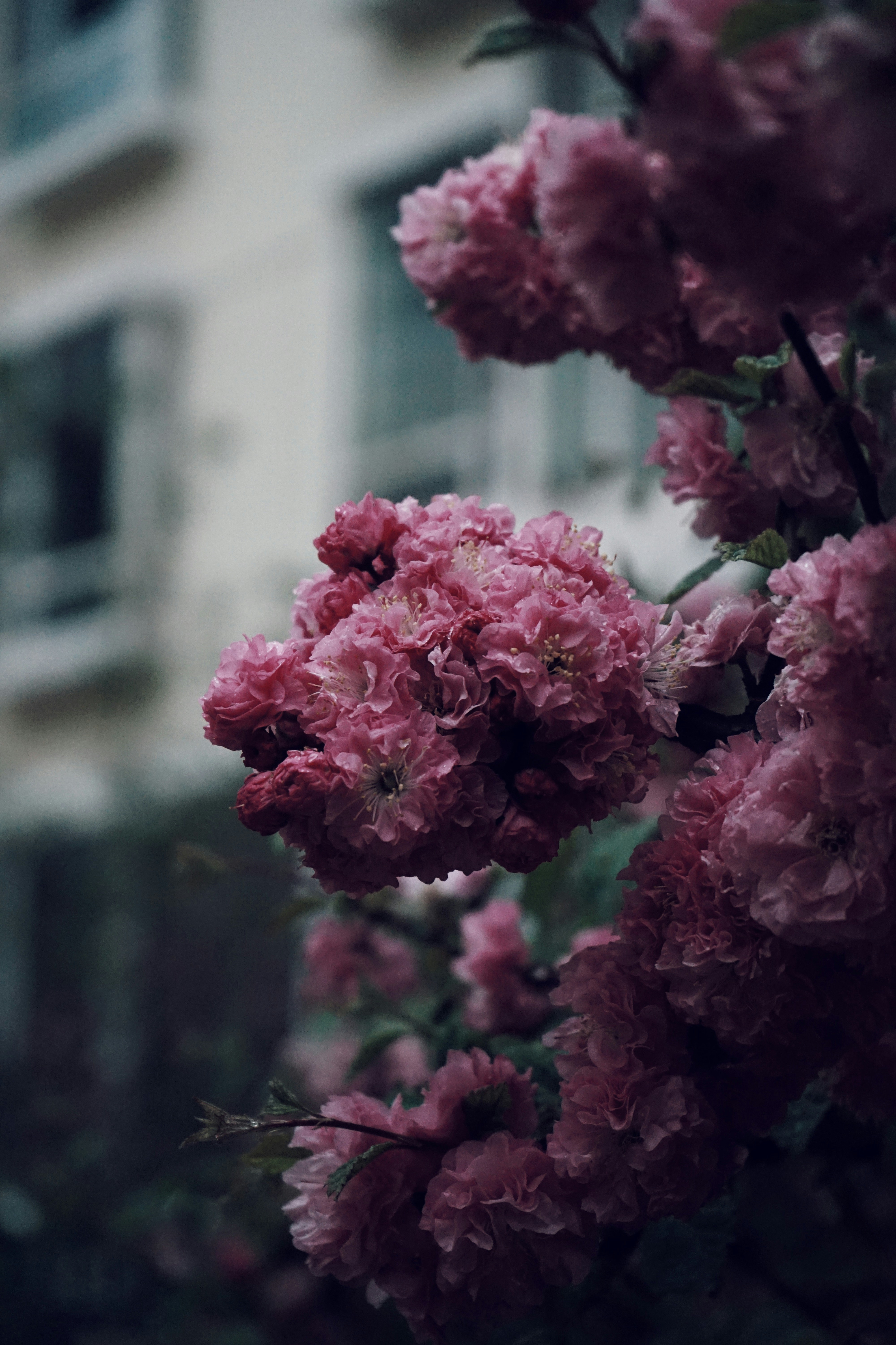 Photo by judahwester