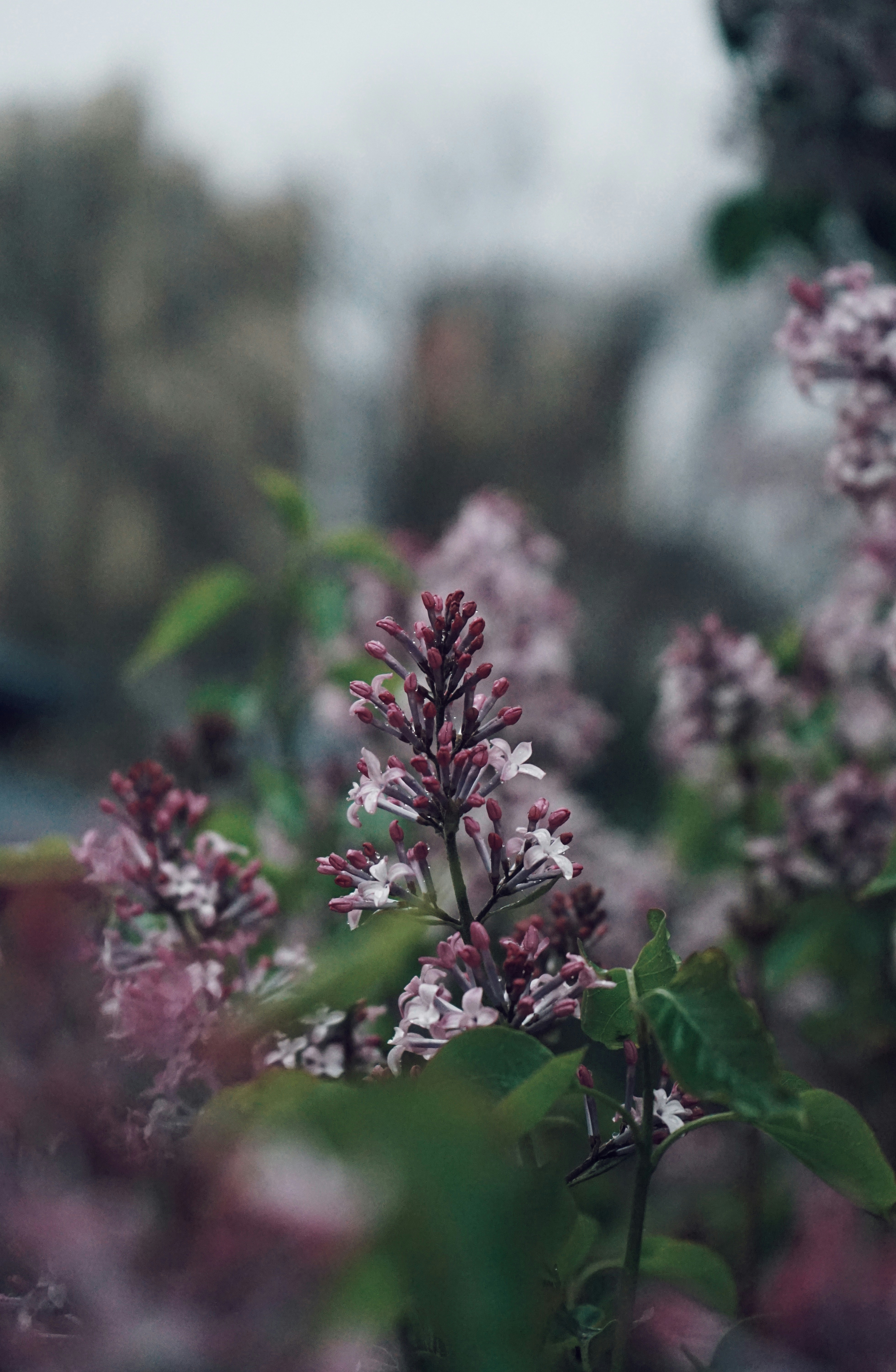 Photo by judahwester