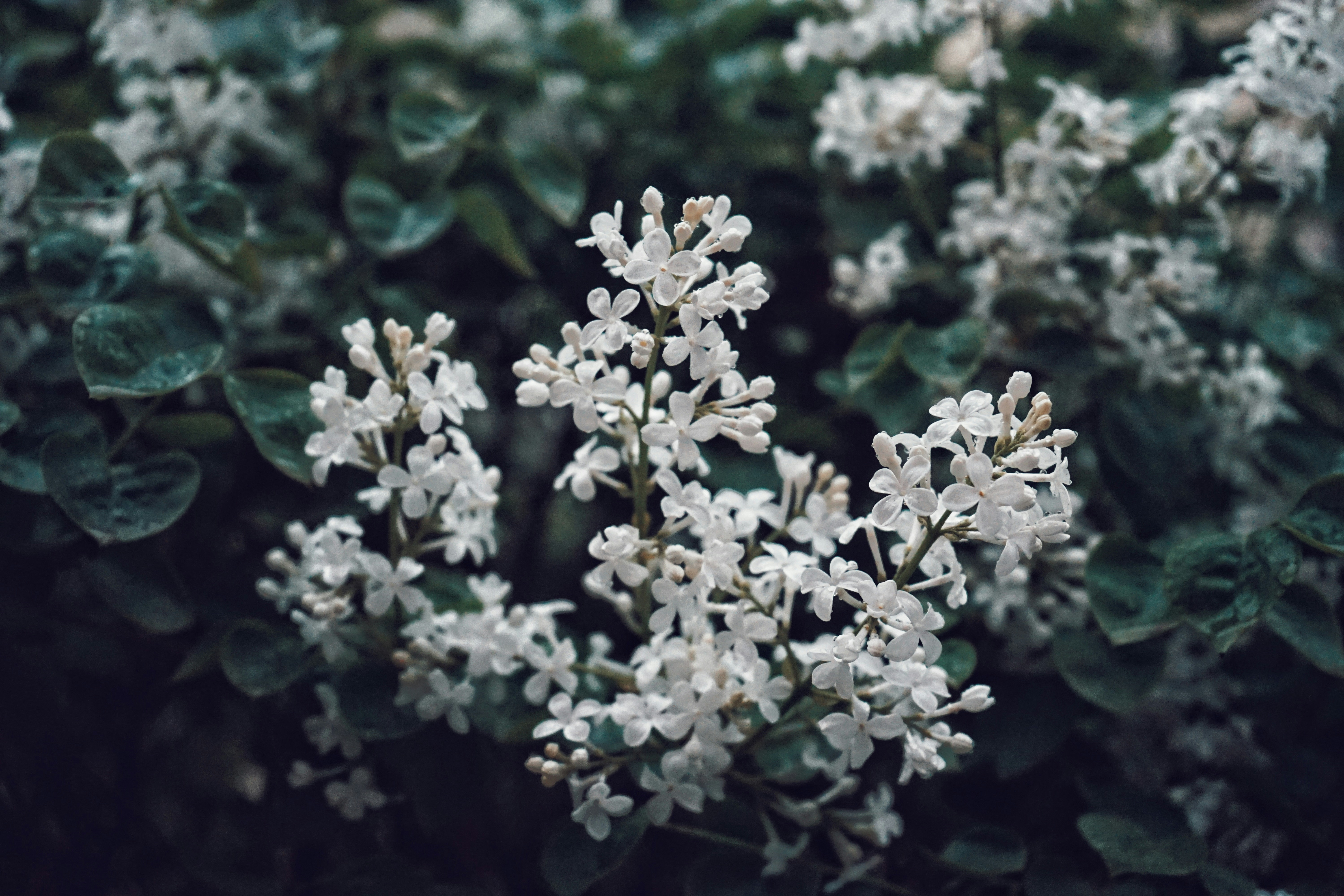 Photo by judahwester