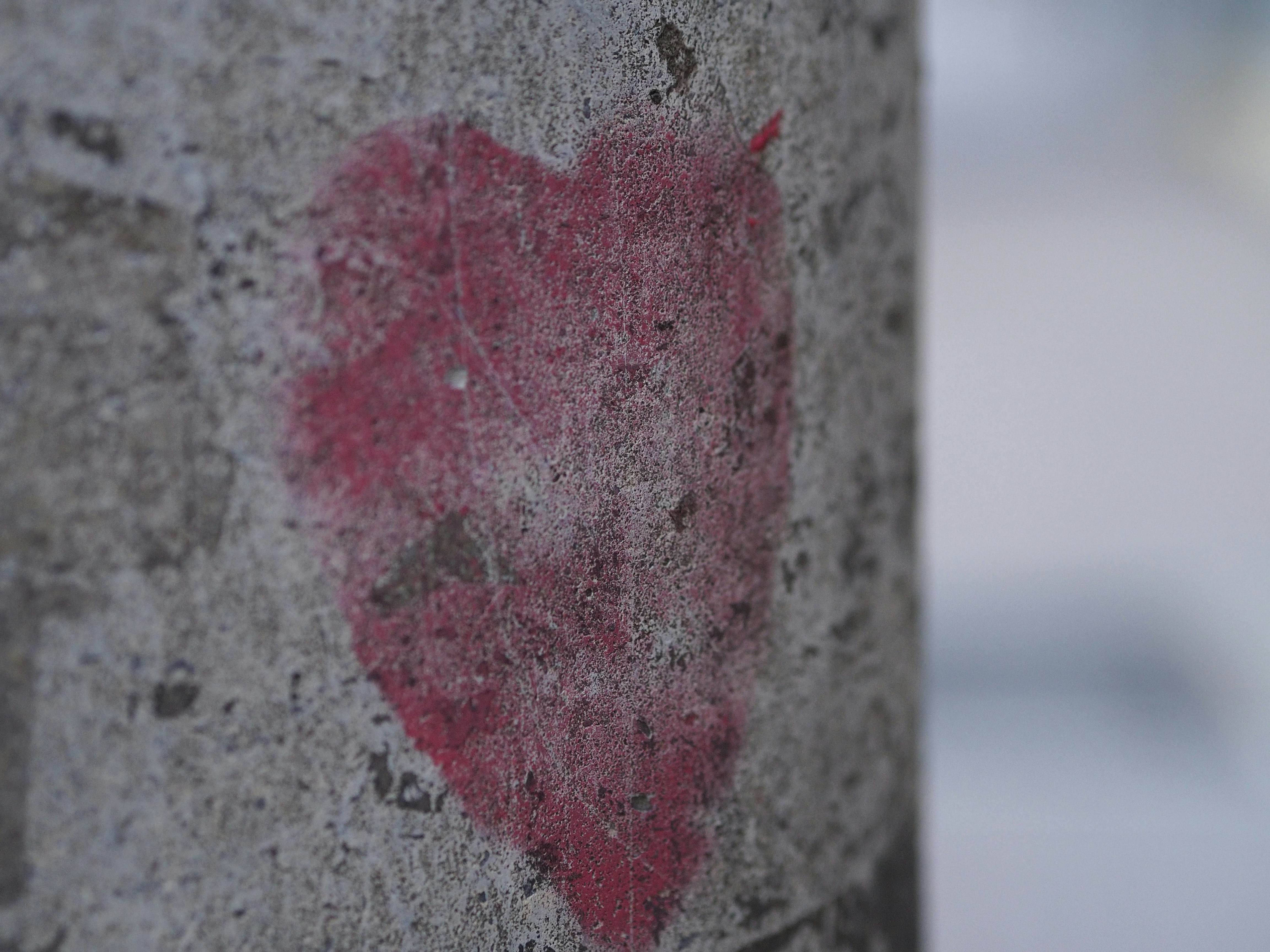 Photo by domhorrible