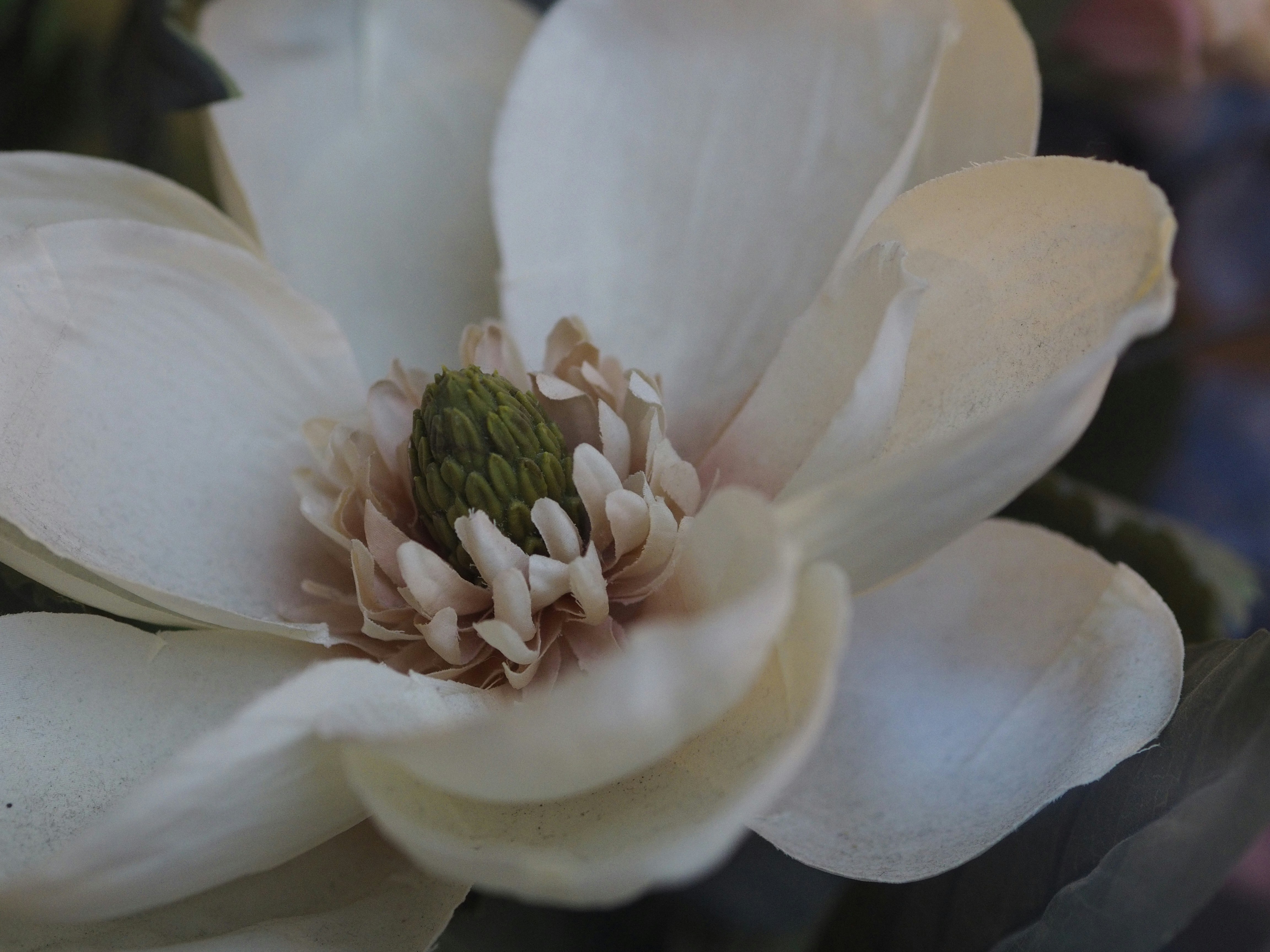 Photo by domhorrible