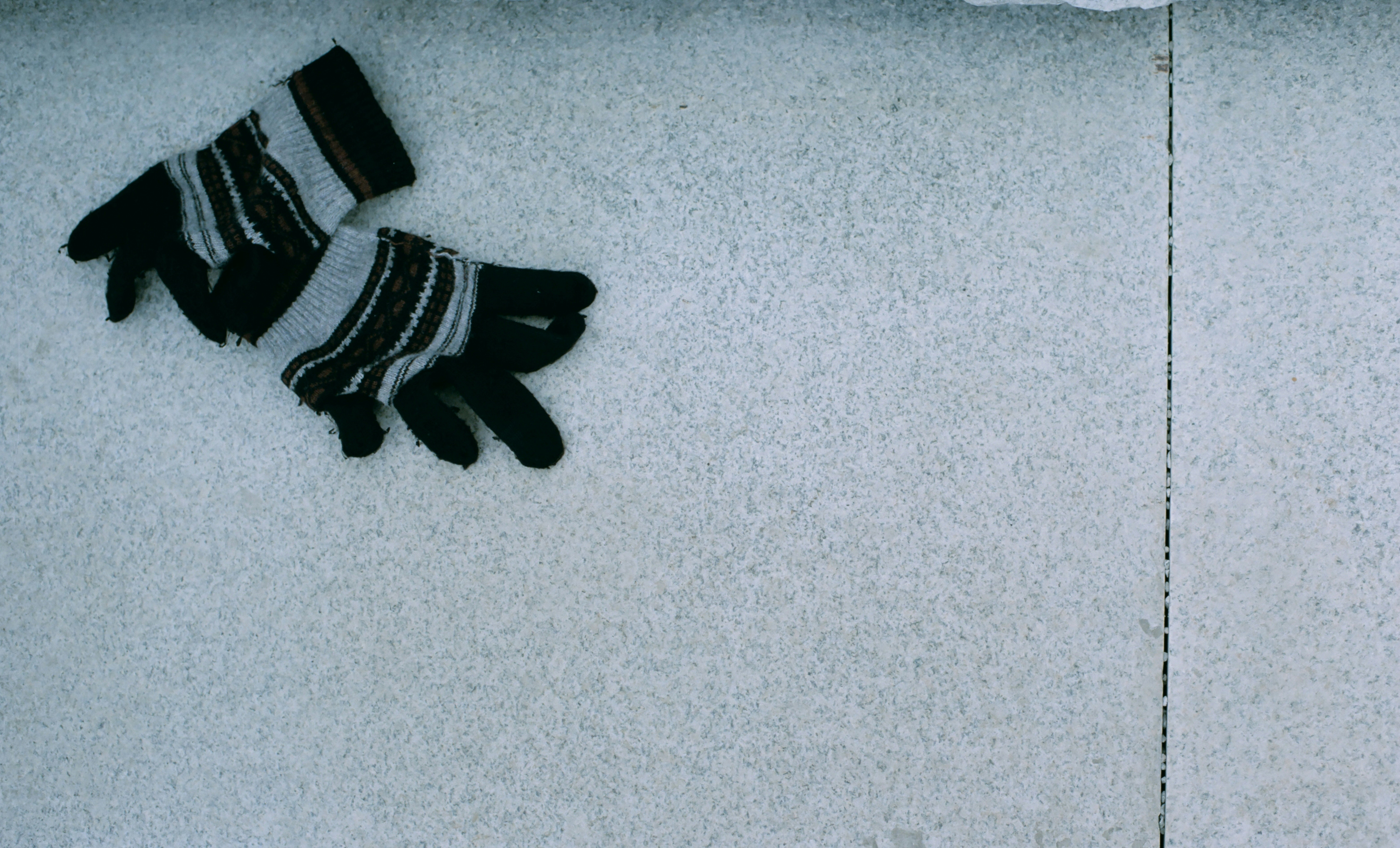 這部神作竟預言了XX？！