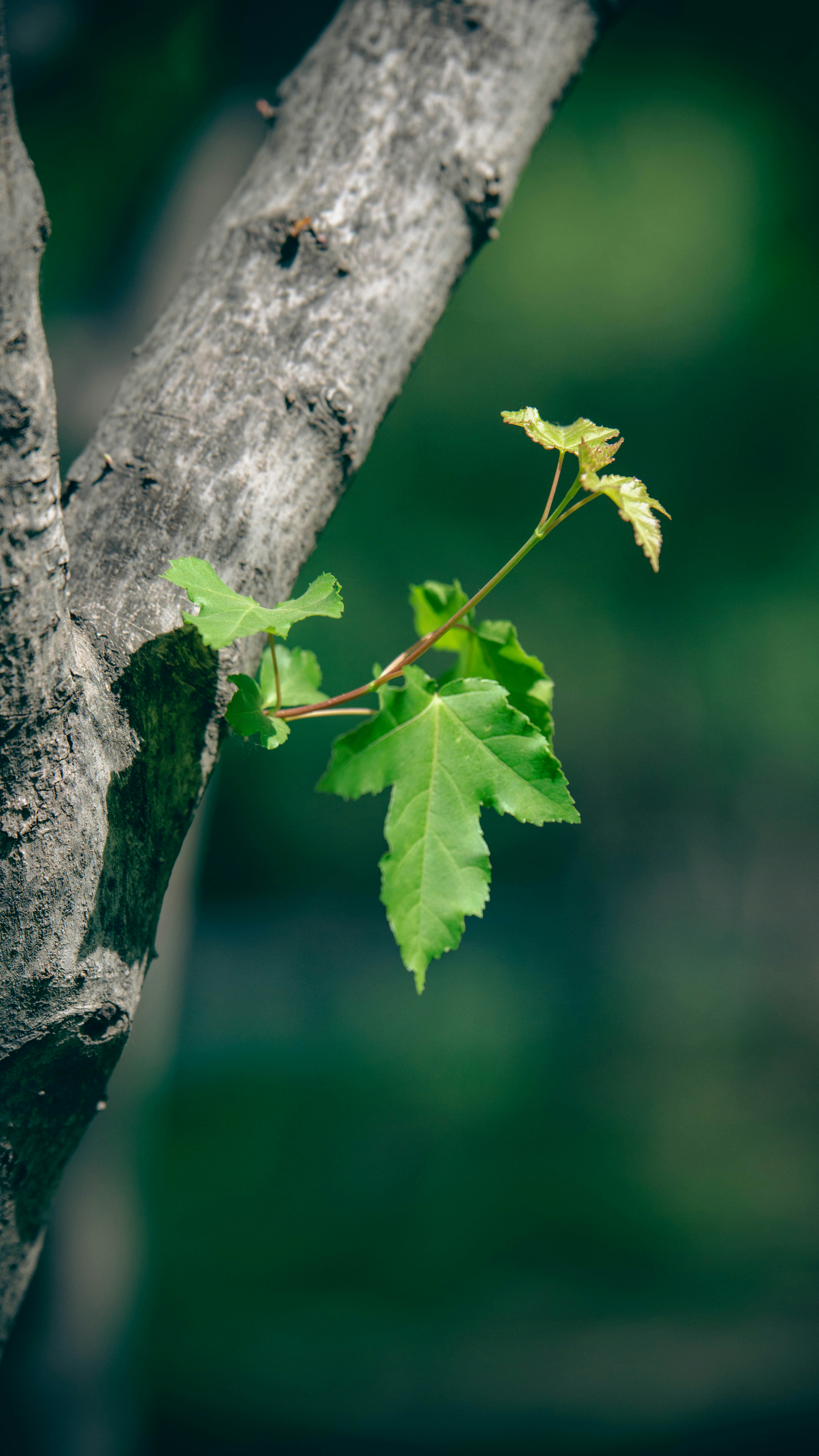 Photo by peek_a_boo_who