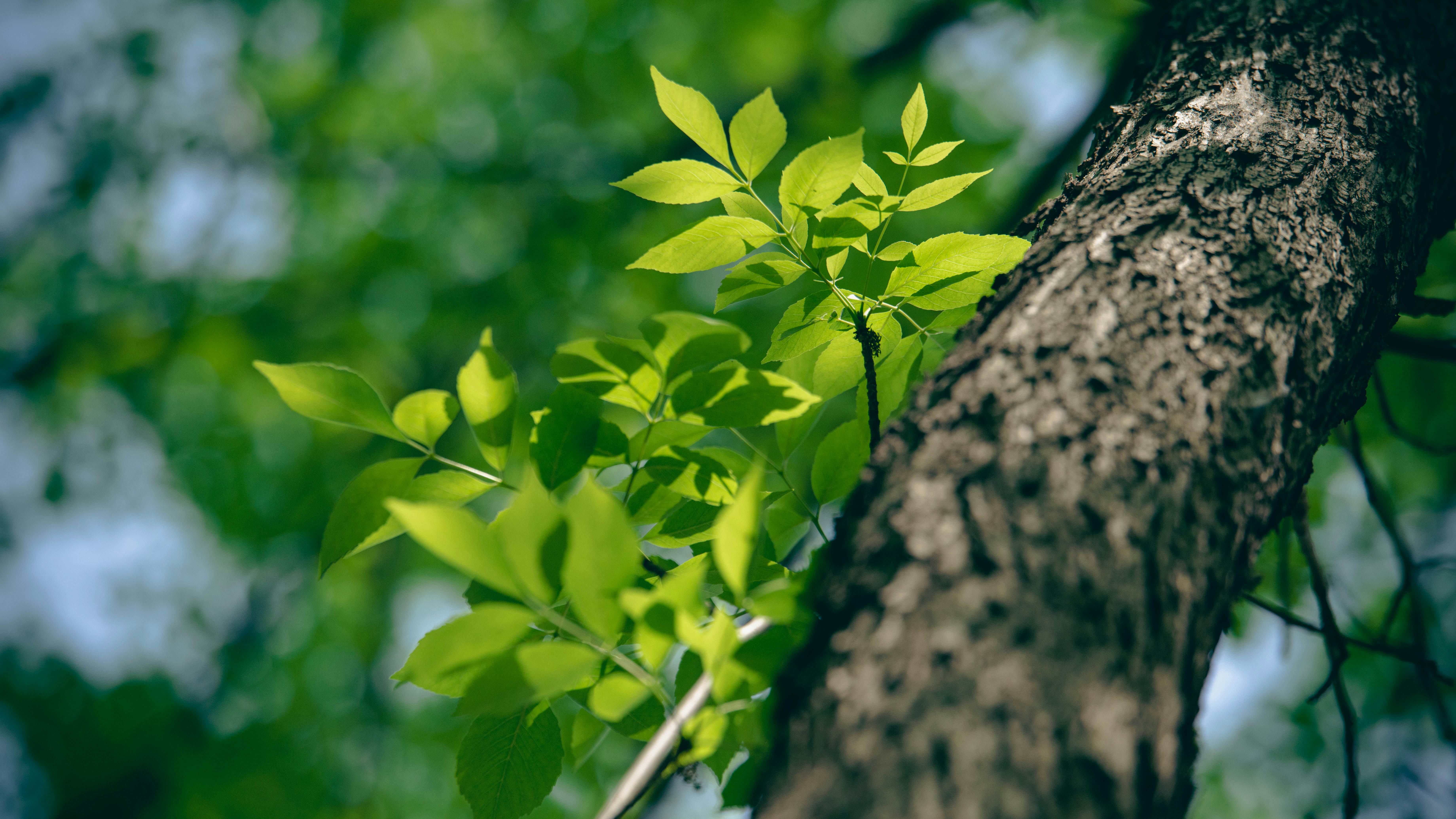 Photo by peek_a_boo_who