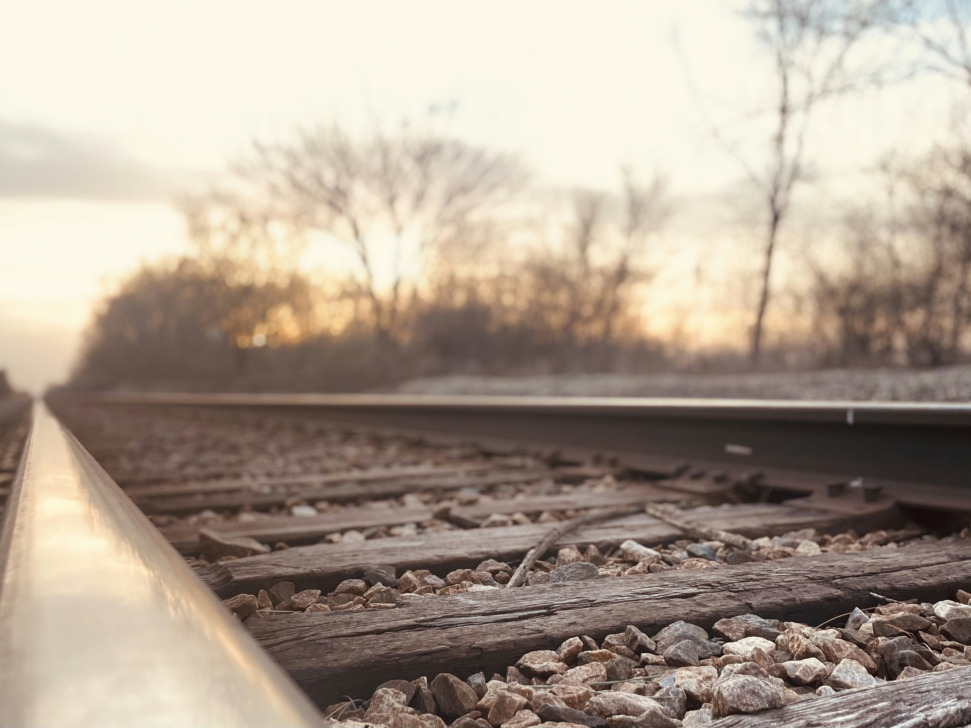 Photo by autumntomich