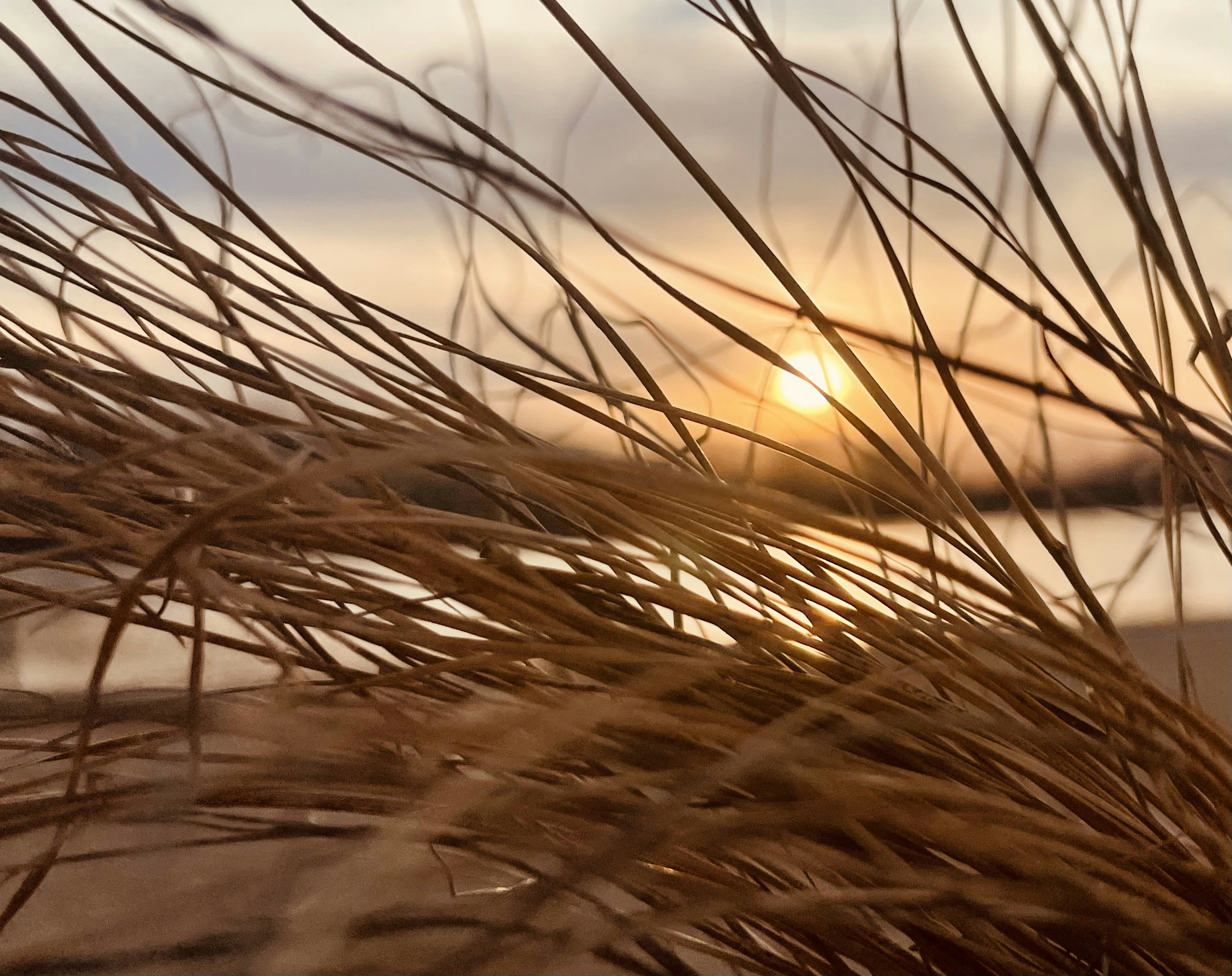 Photo by autumntomich