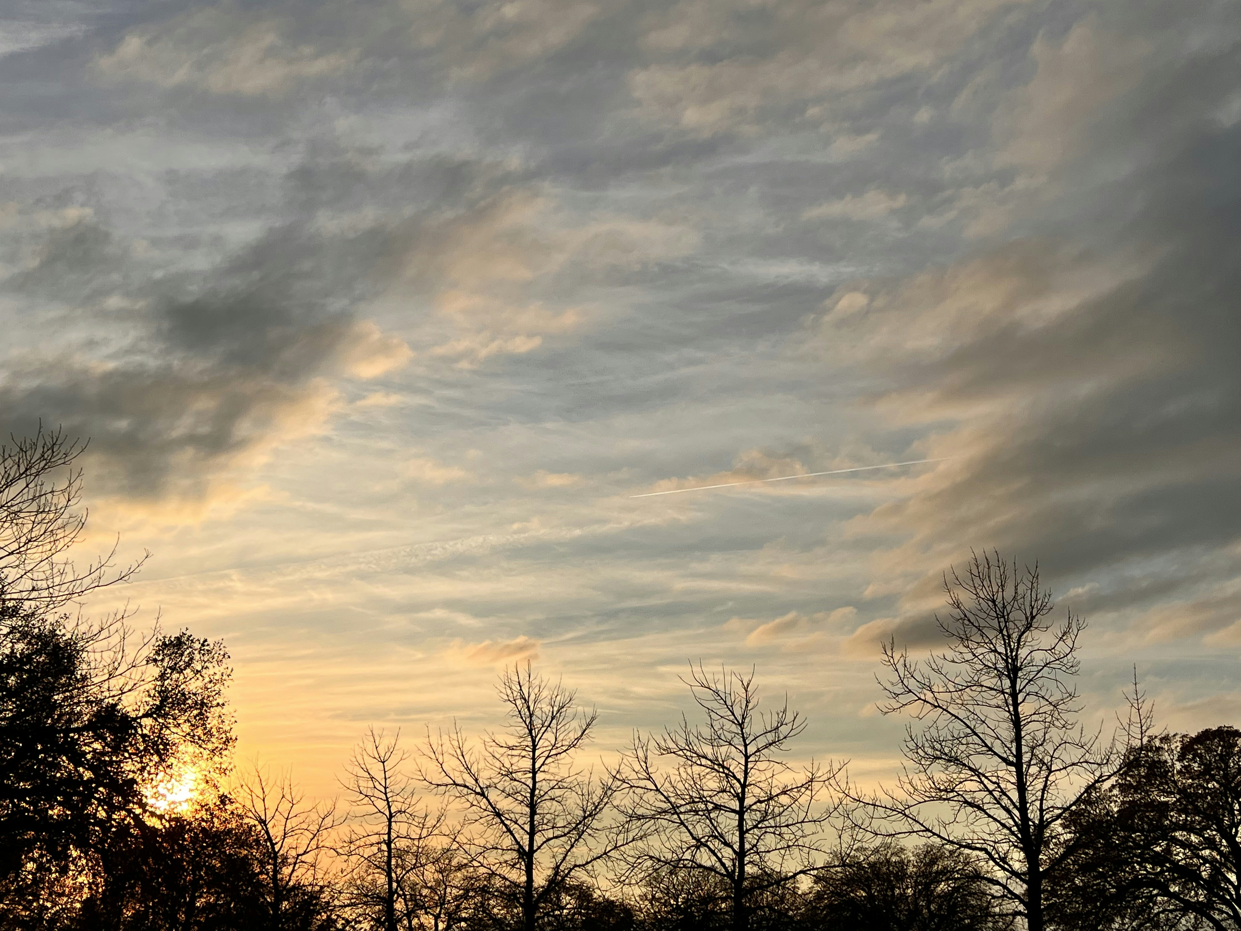 Photo by ddharrison1015