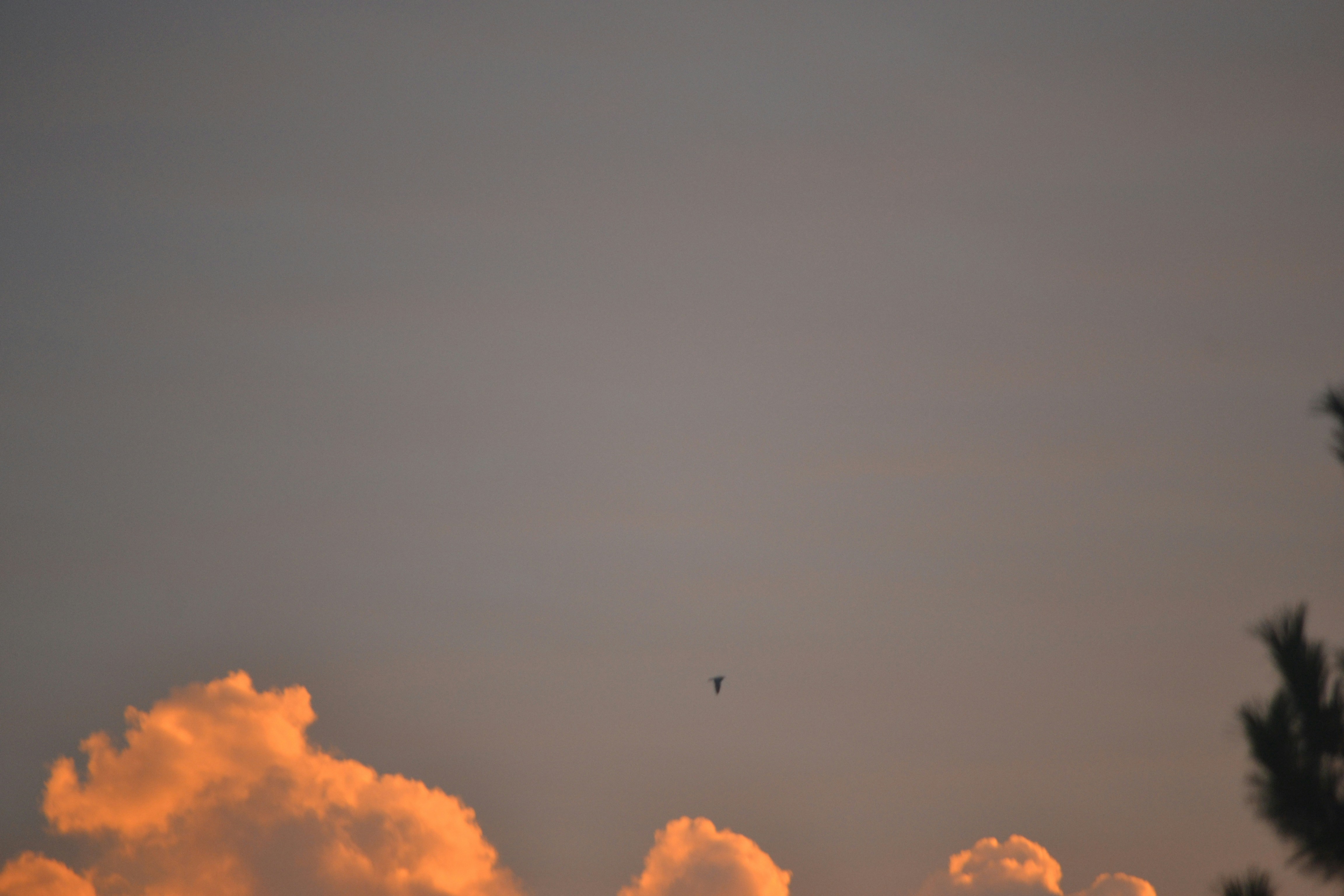 Photo by kingsley0709