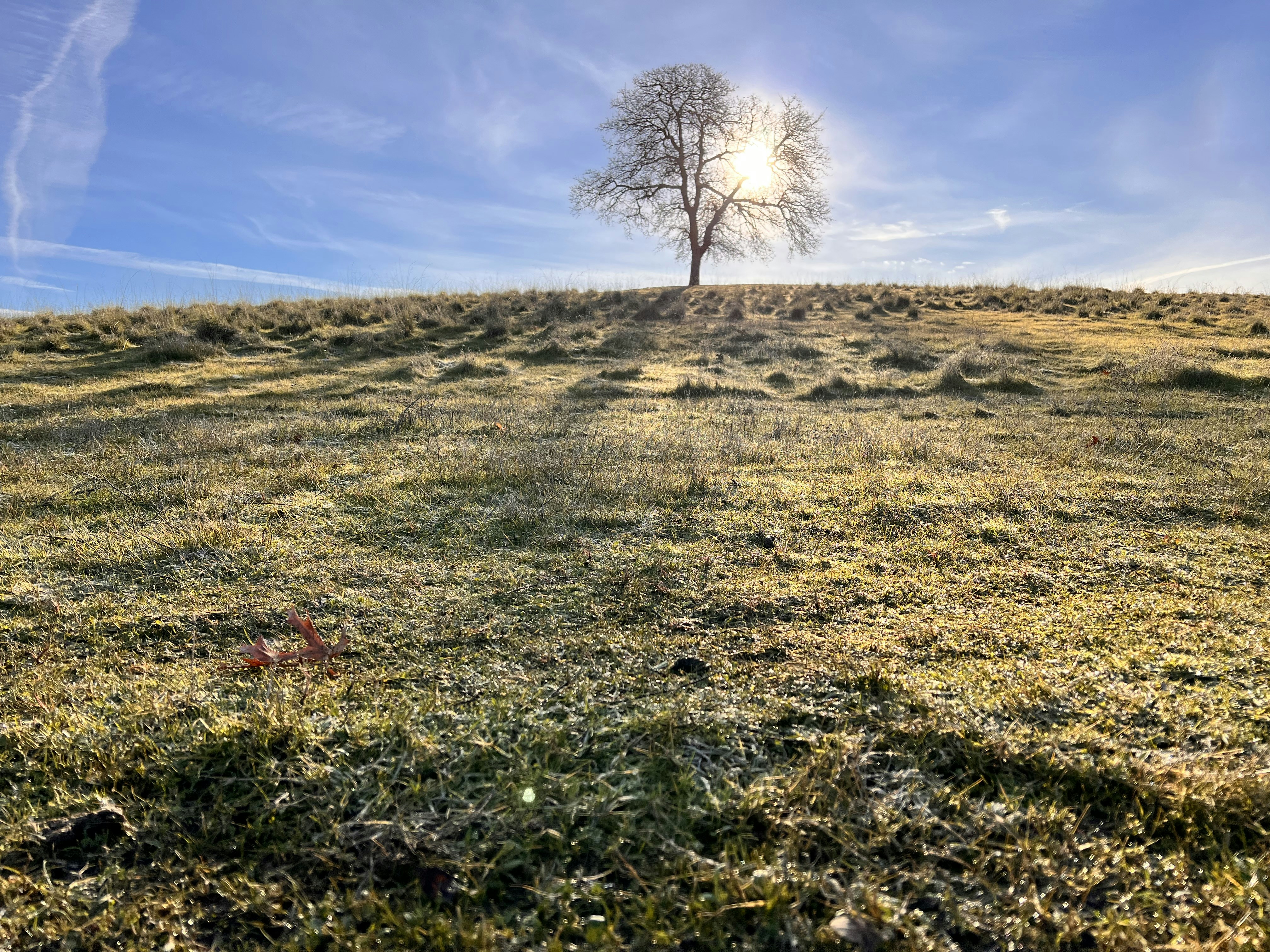 Photo by ddharrison1015