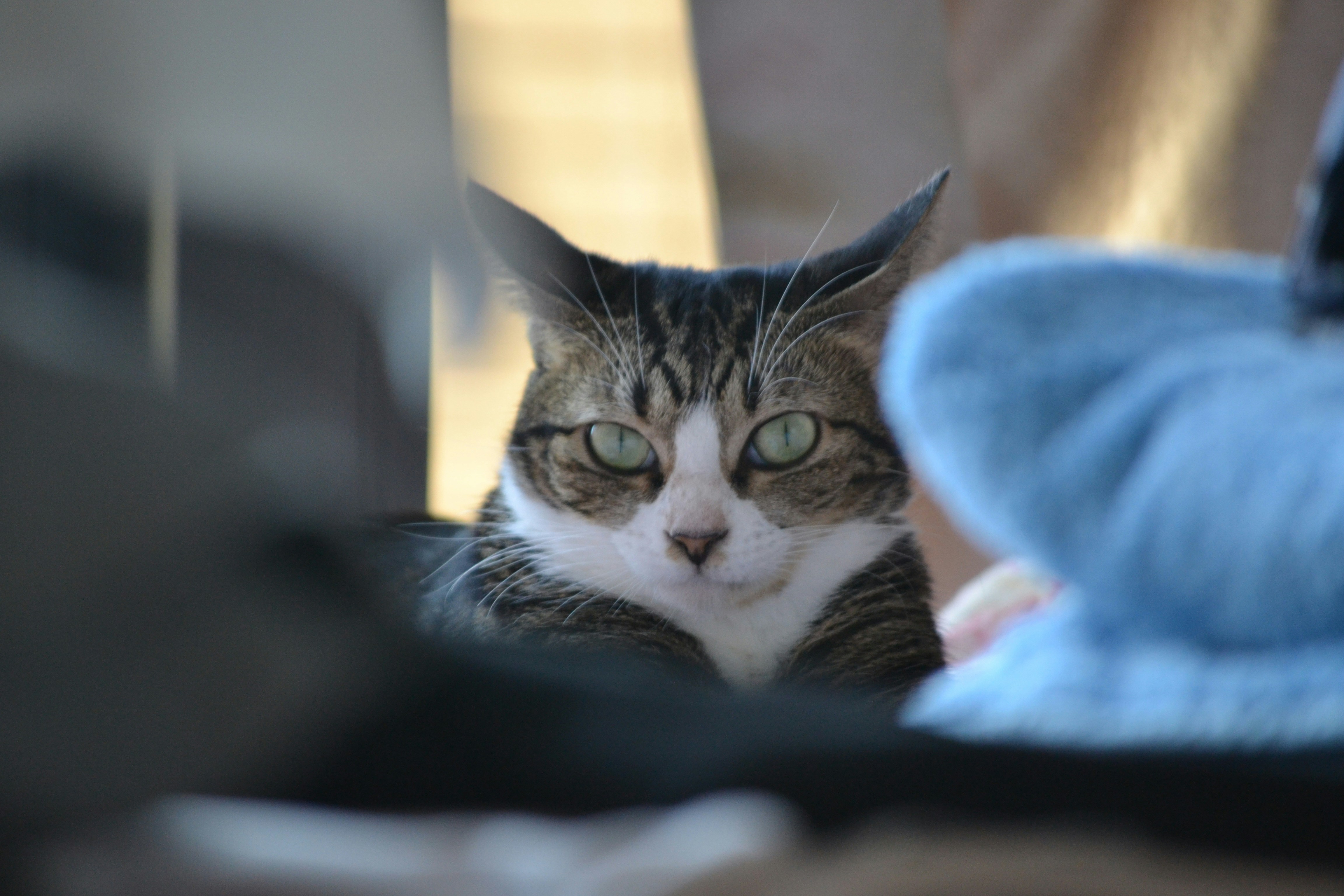 Photo by kingsley0709