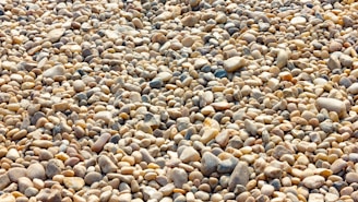 a large group of rocks