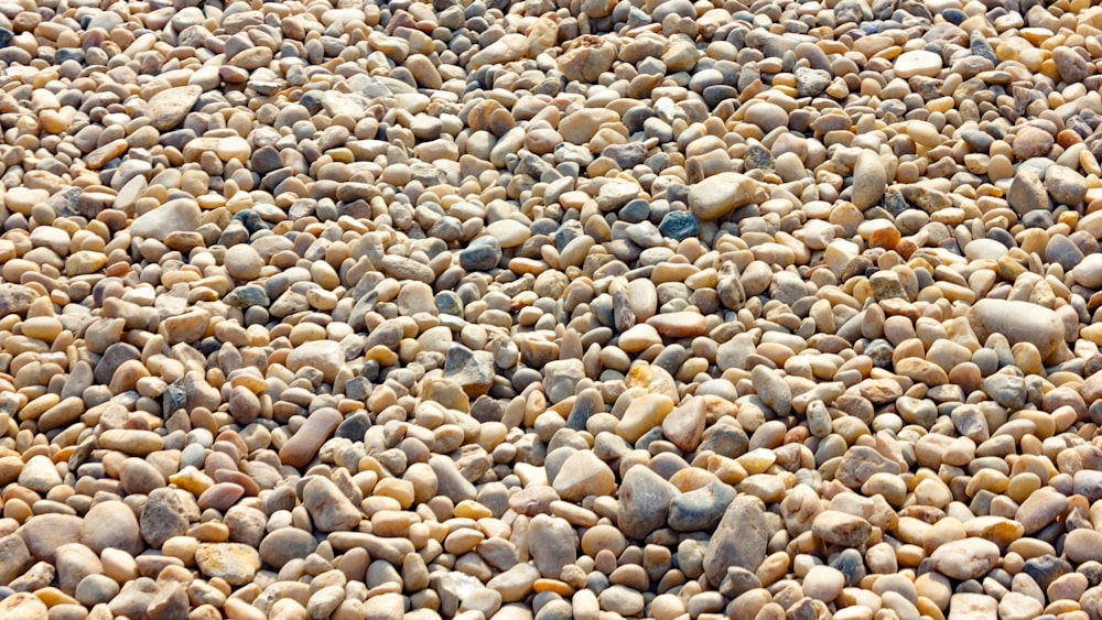 a large group of rocks