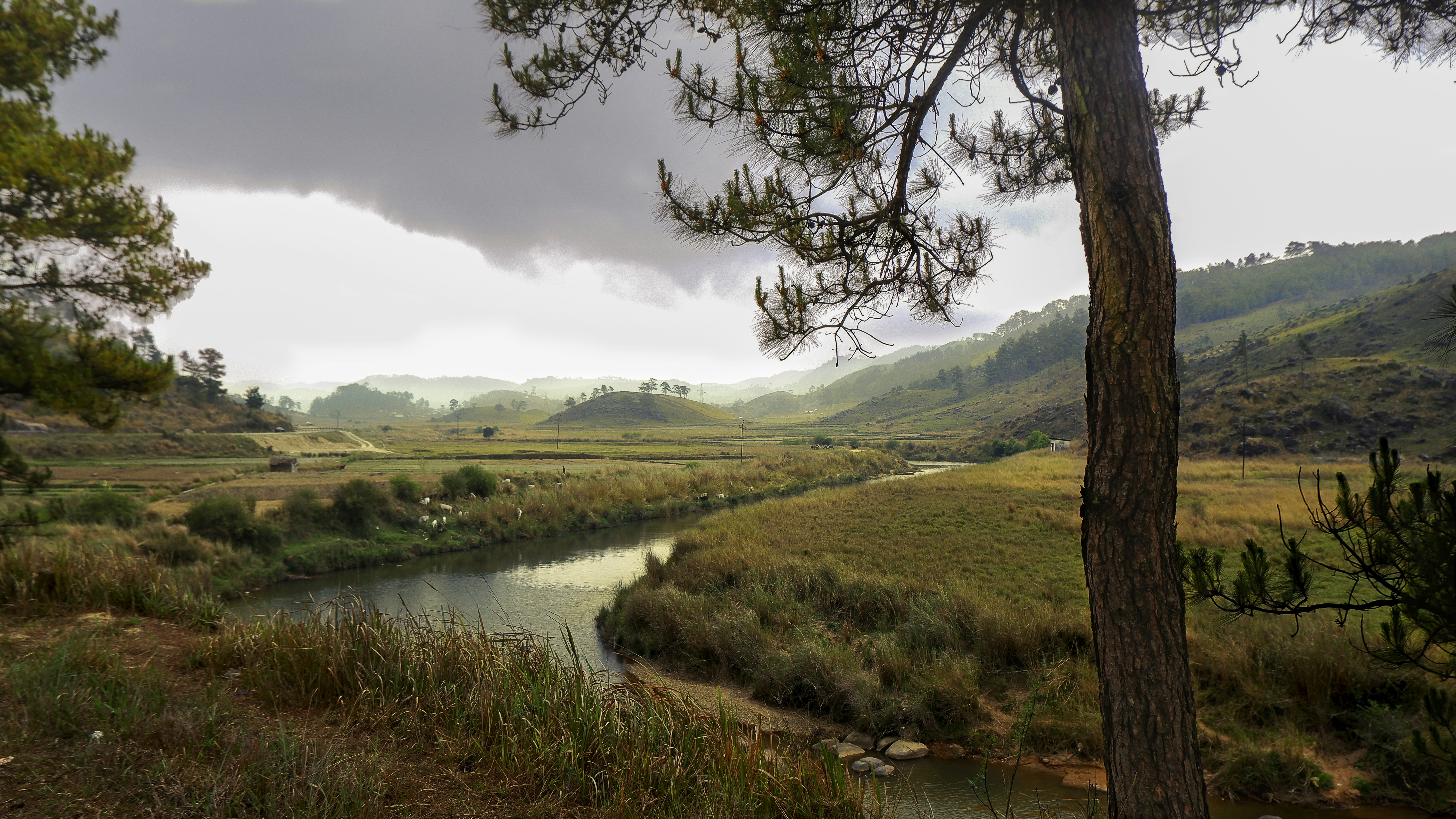 a river running through a grassy area, 
