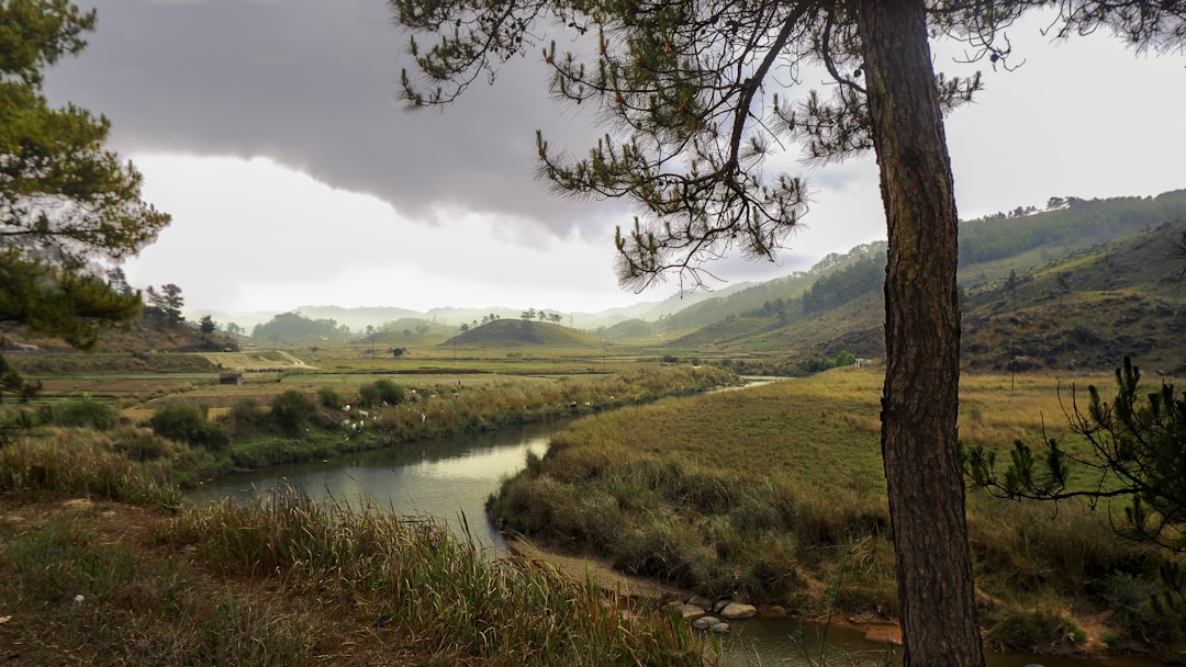 a river running through a grassy area,