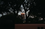 A tall building with the word 'Alico' illuminated in red at the top is partially obscured by dark silhouettes of tree branches. The scene appears to be taken at dusk or night, giving a contrast between the lit sign and the surrounding shadows.