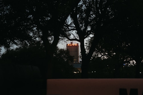 A tall building with the word 'Alico' illuminated in red at the top is partially obscured by dark silhouettes of tree branches. The scene appears to be taken at dusk or night, giving a contrast between the lit sign and the surrounding shadows.