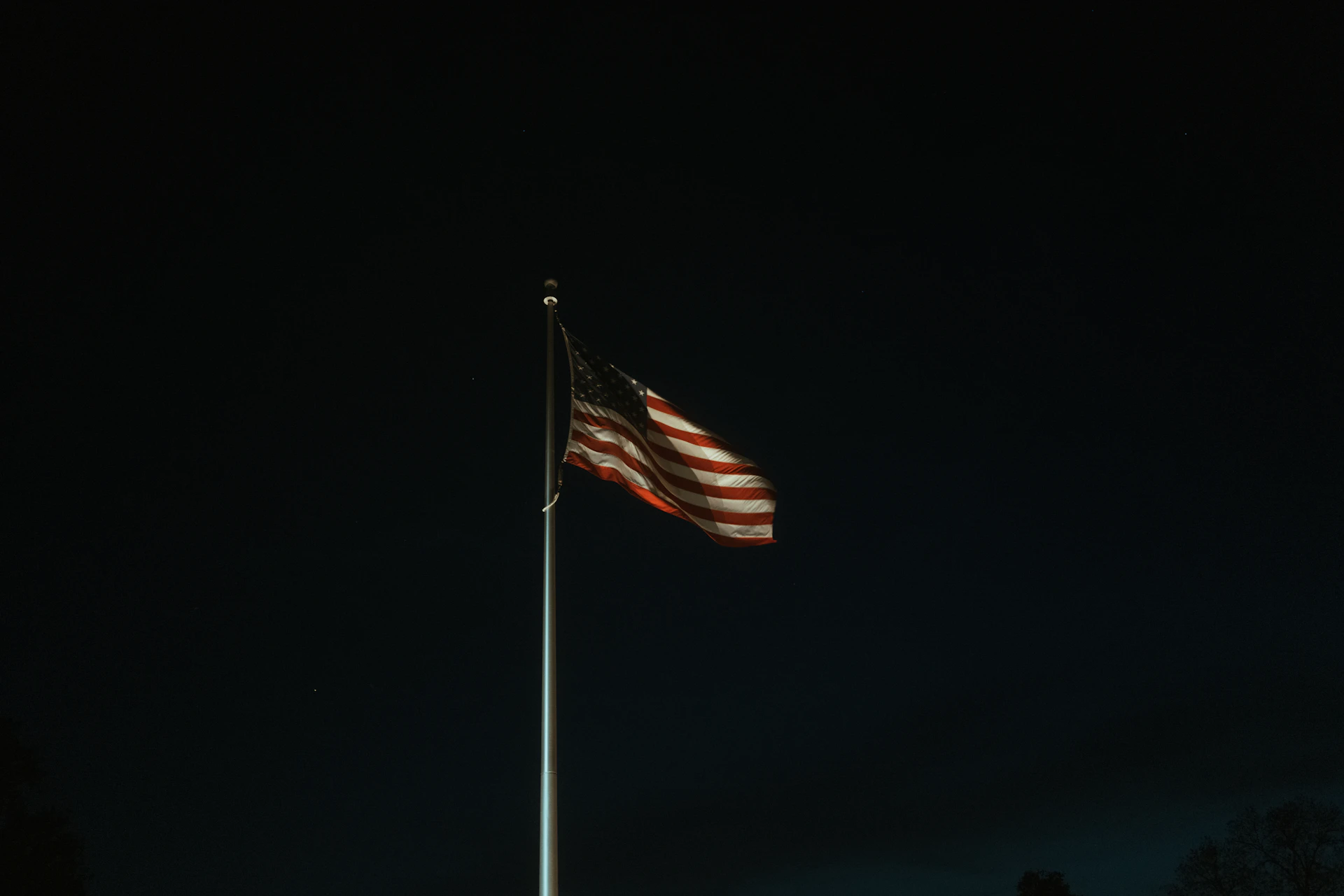a flag on a pole