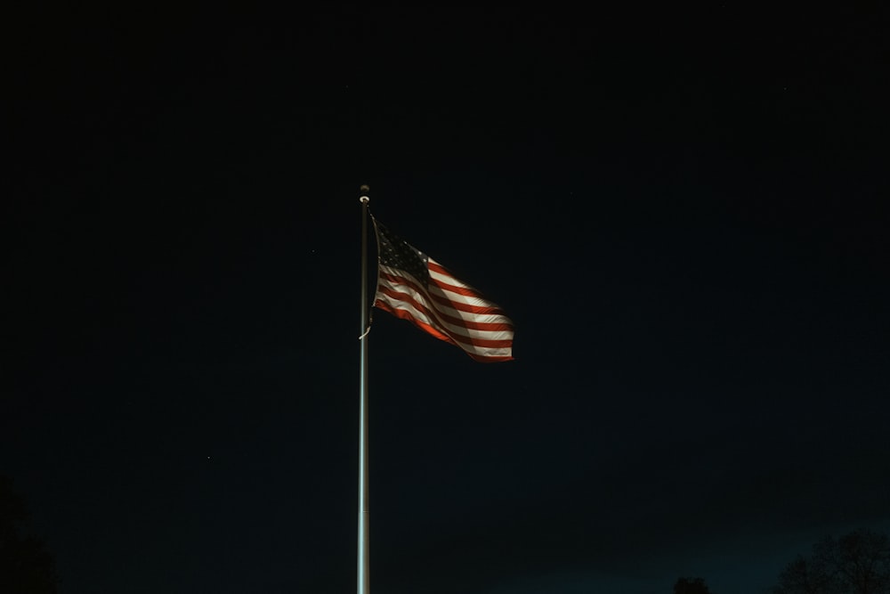 a flag on a pole