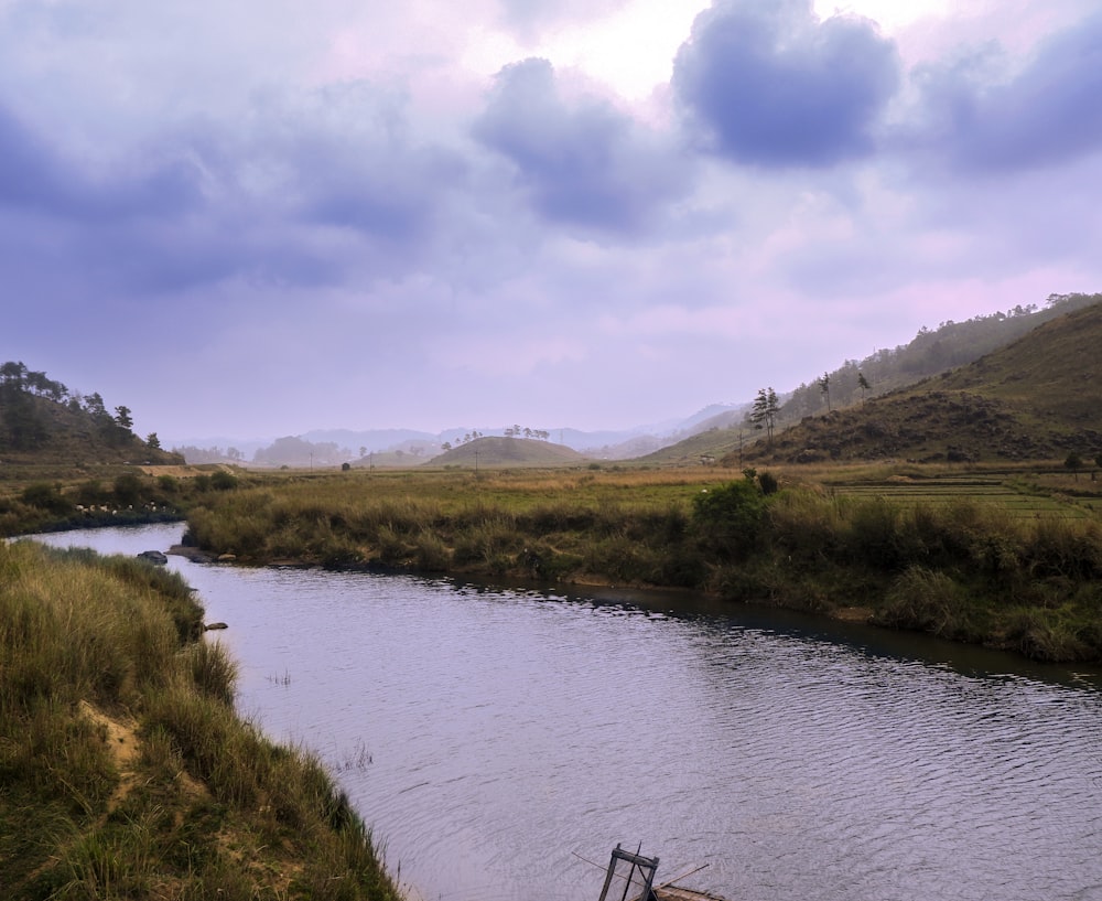 a river with grass and trees on the side