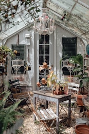 A quaint greenhouse interior containing various potted plants on a small wooden table and surrounding shelves. The space features weathered chairs, a delicate chandelier, and sunlight filtering through the glass roof. The atmosphere is cozy and slightly rustic, with ferns and other plants adding lush greenery.
