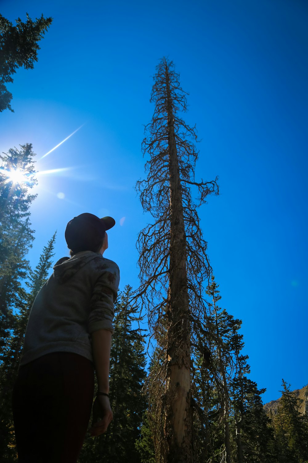 a person standing next to a tall tree