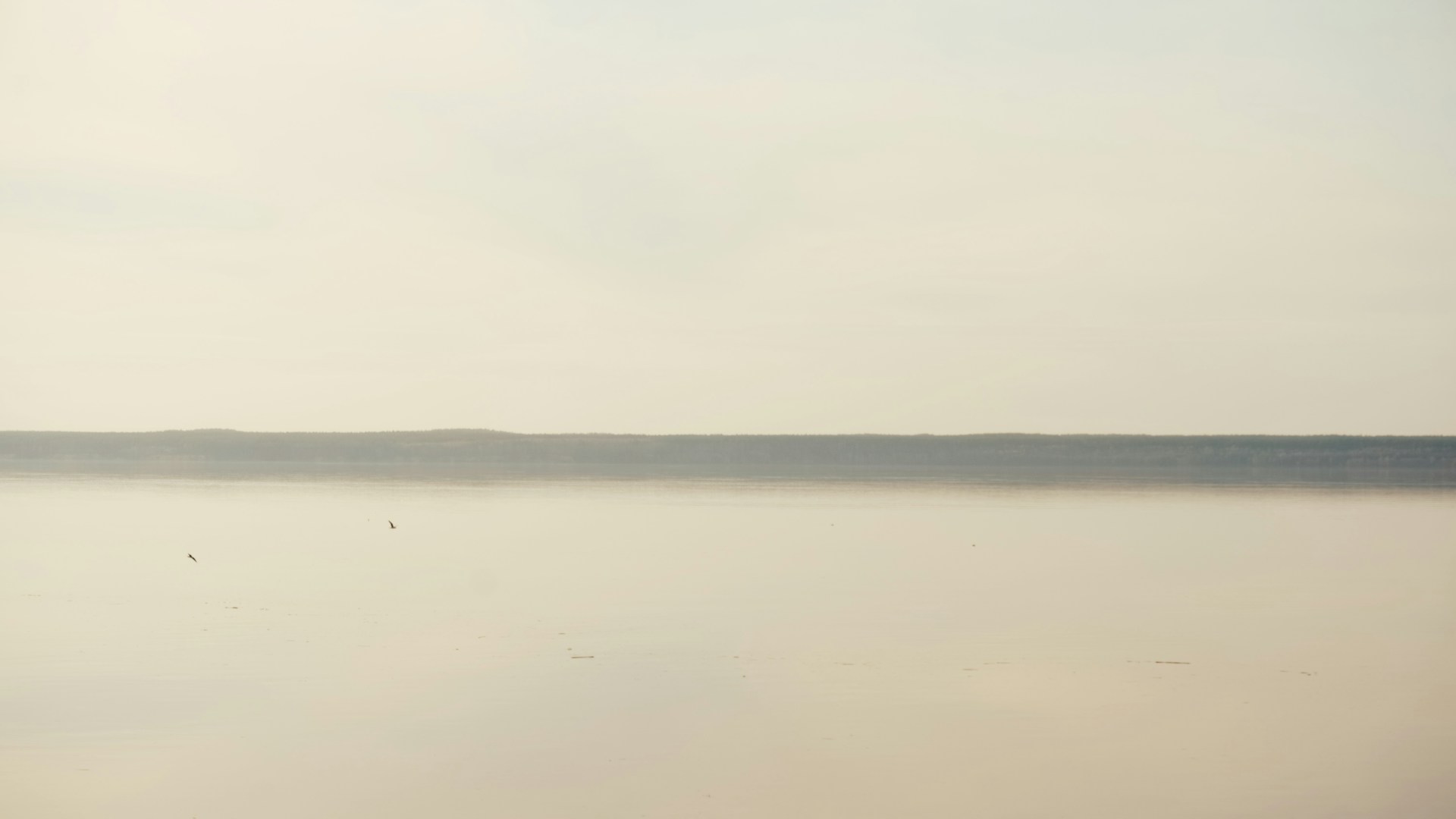 A minimalist landscape shot featuring soft gradients of dawn light over calm waters.