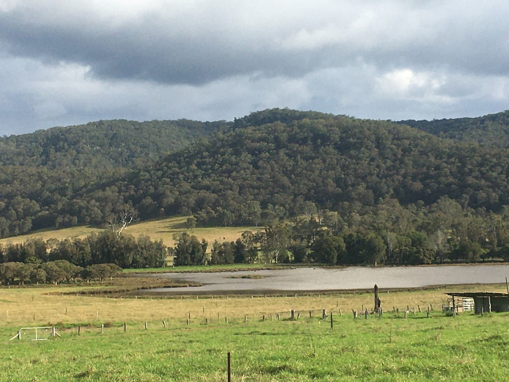 a field with a river and trees in the background