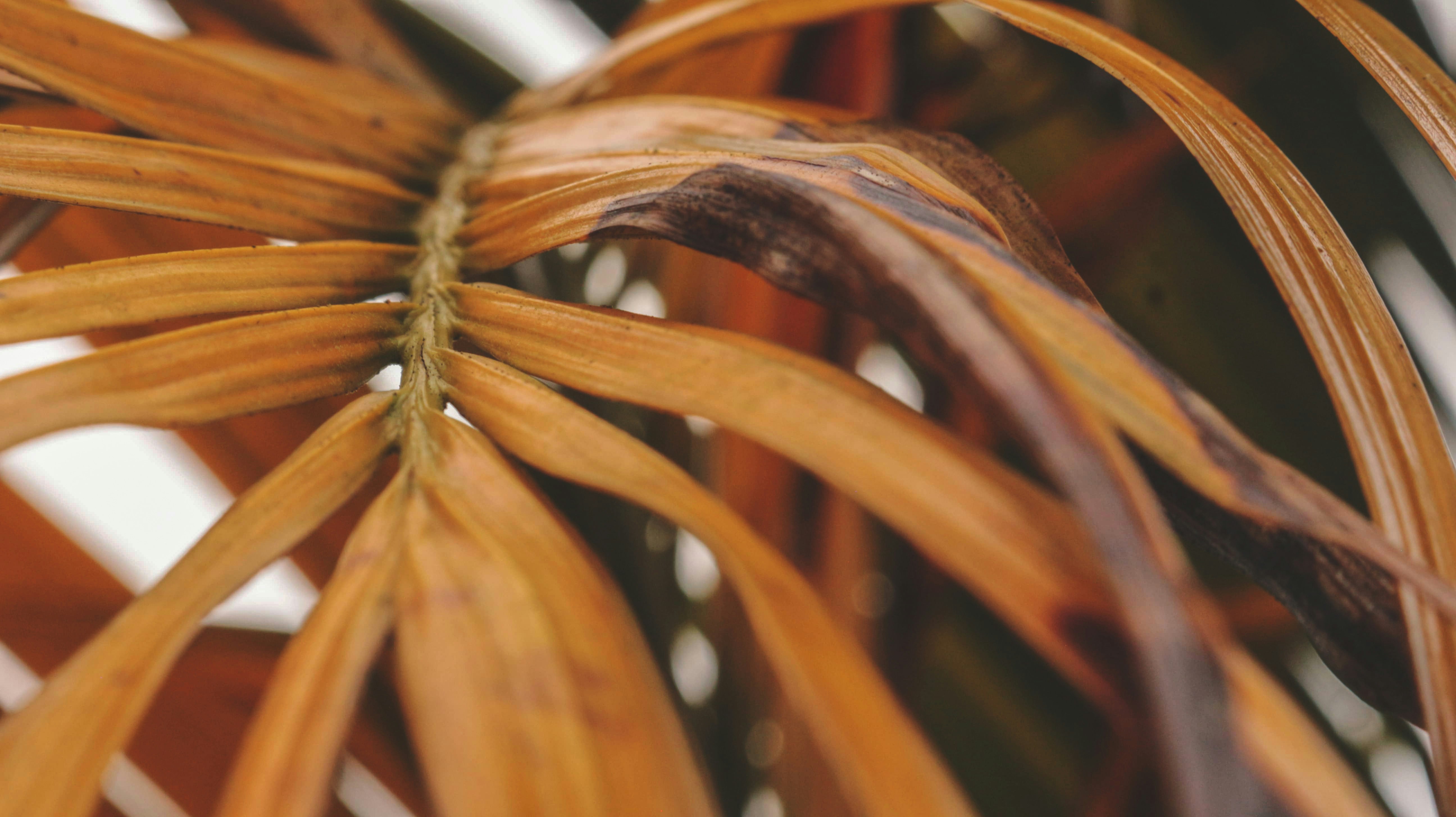 Photo by mateus_duraes