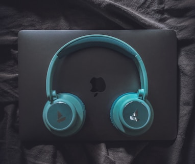 a blue and black headphone