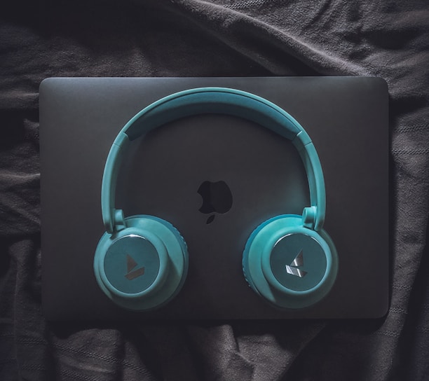 a blue and black headphone