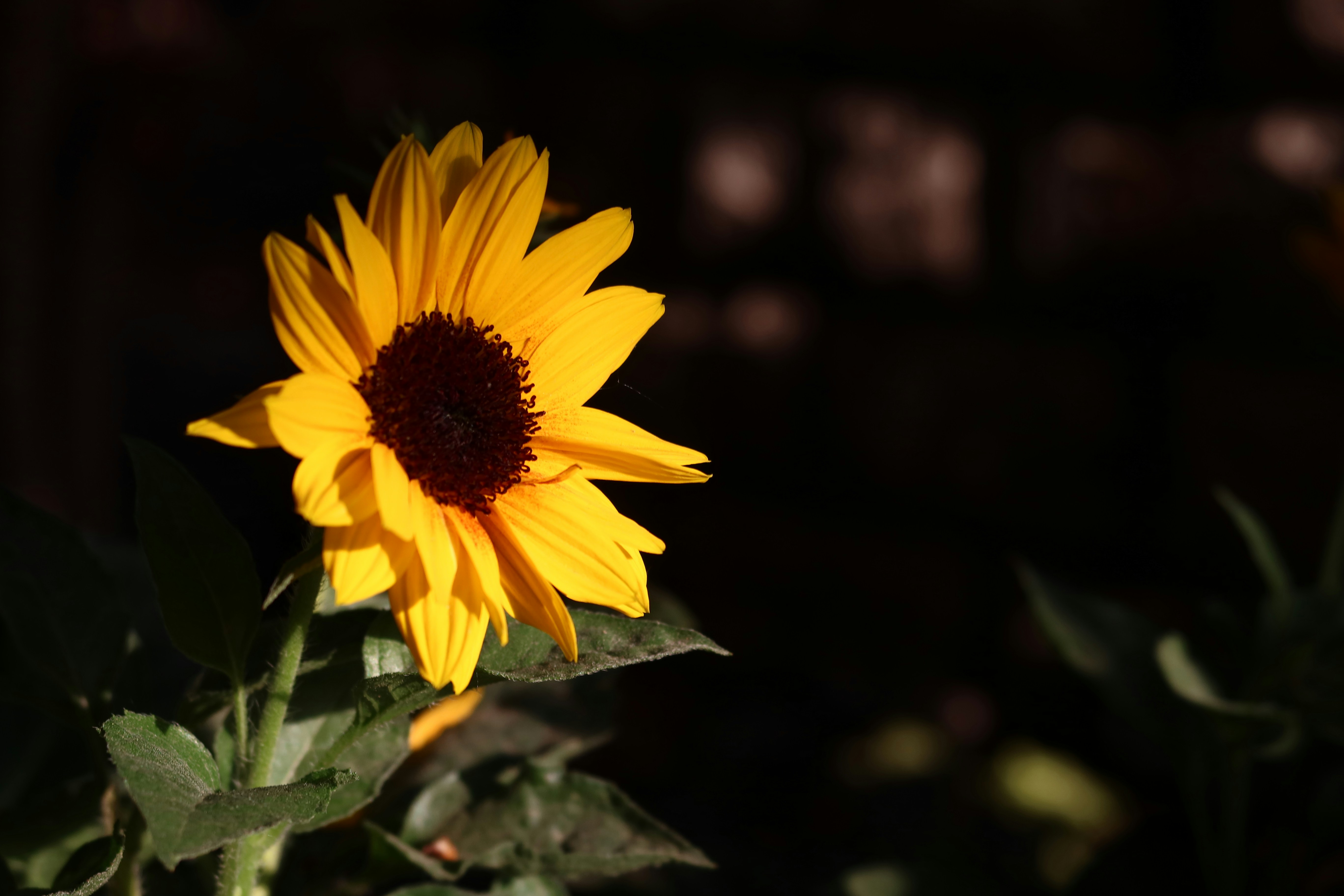 Photo by vivacevision