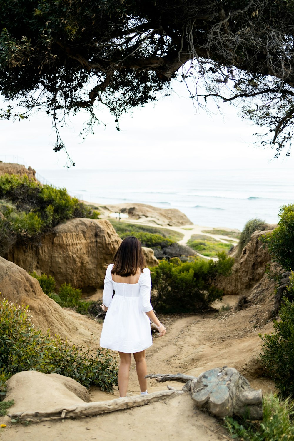 a person standing on a rock looking at the ocean