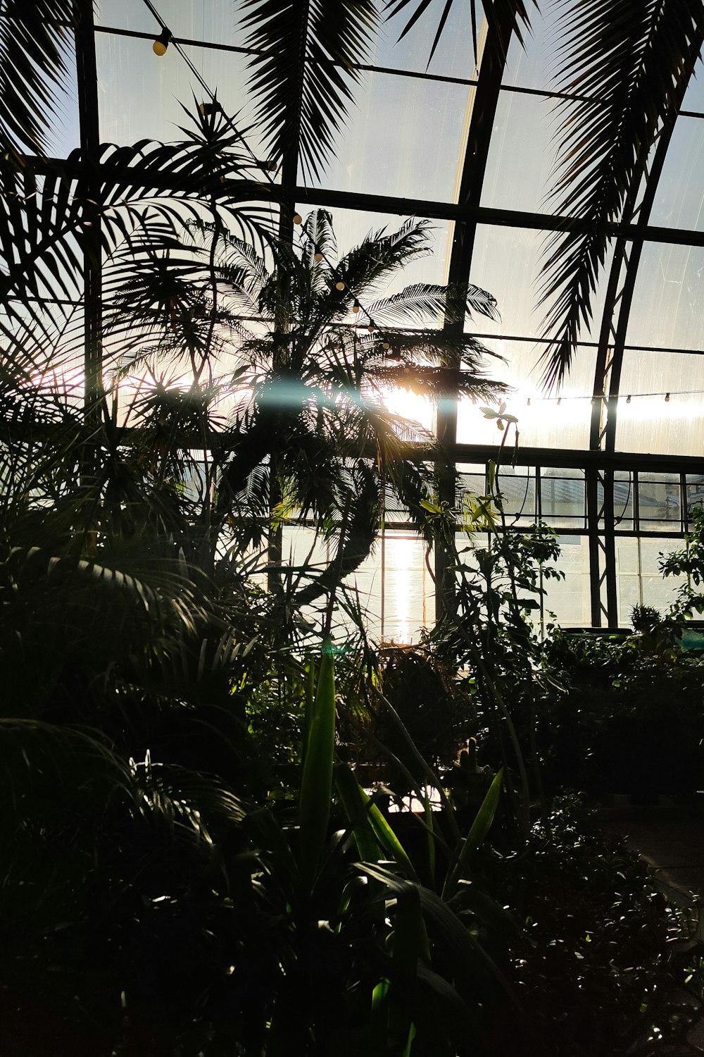 a building with palm trees