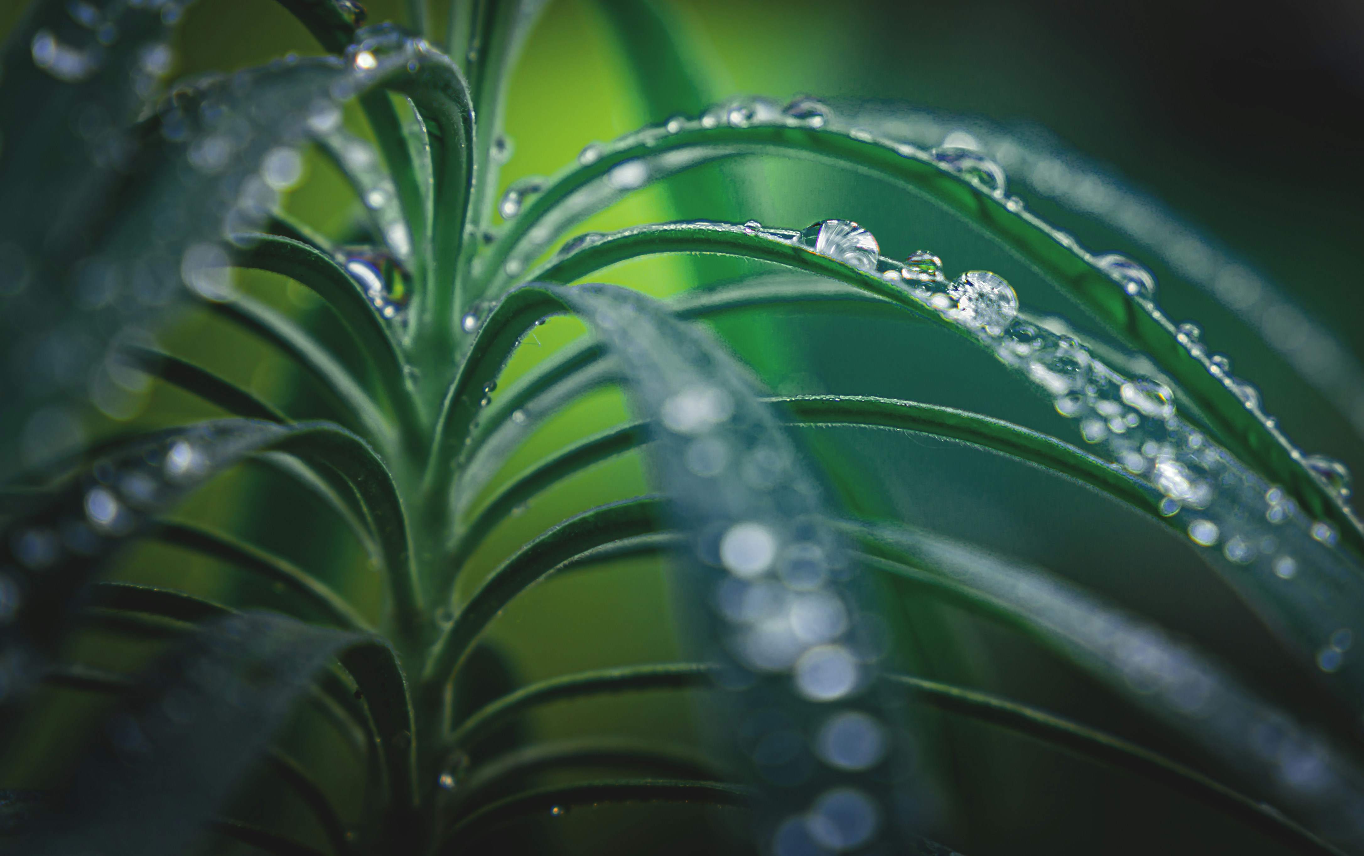 Photo by arizonanthony