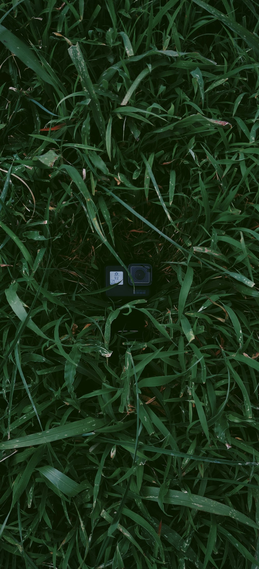 a small black device in the grass