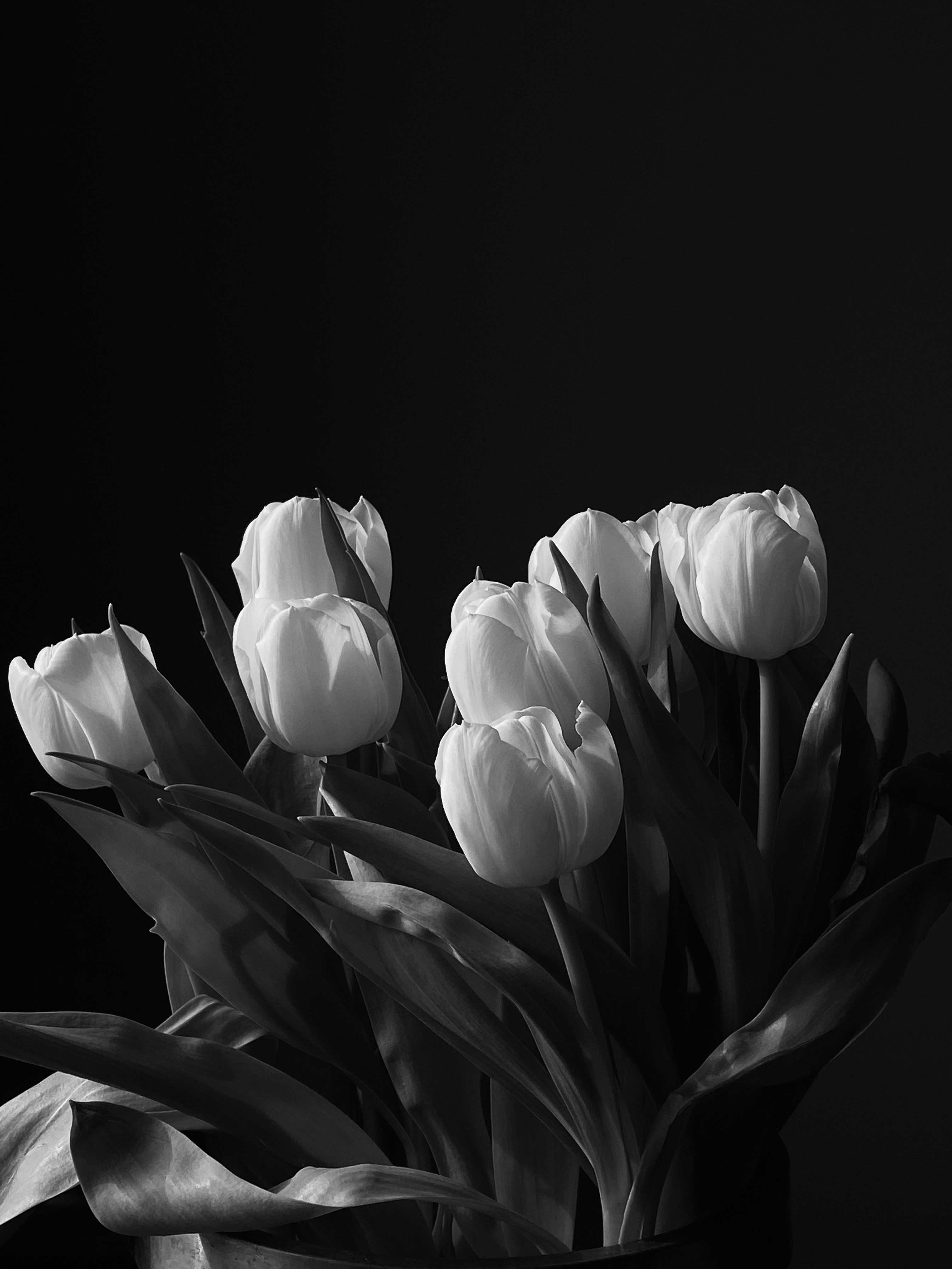 Photo by filipp_roman_photography