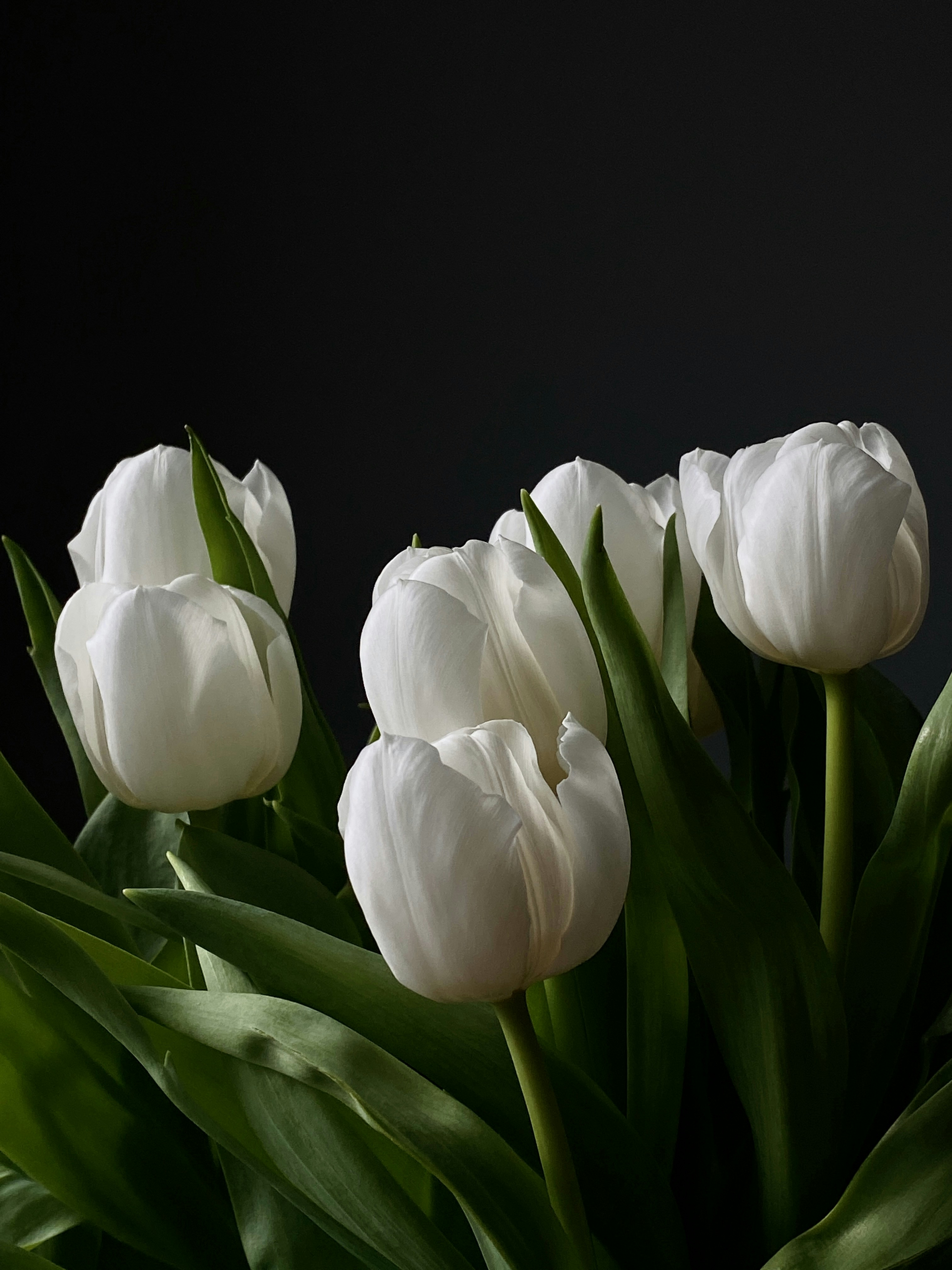 Photo by filipp_roman_photography