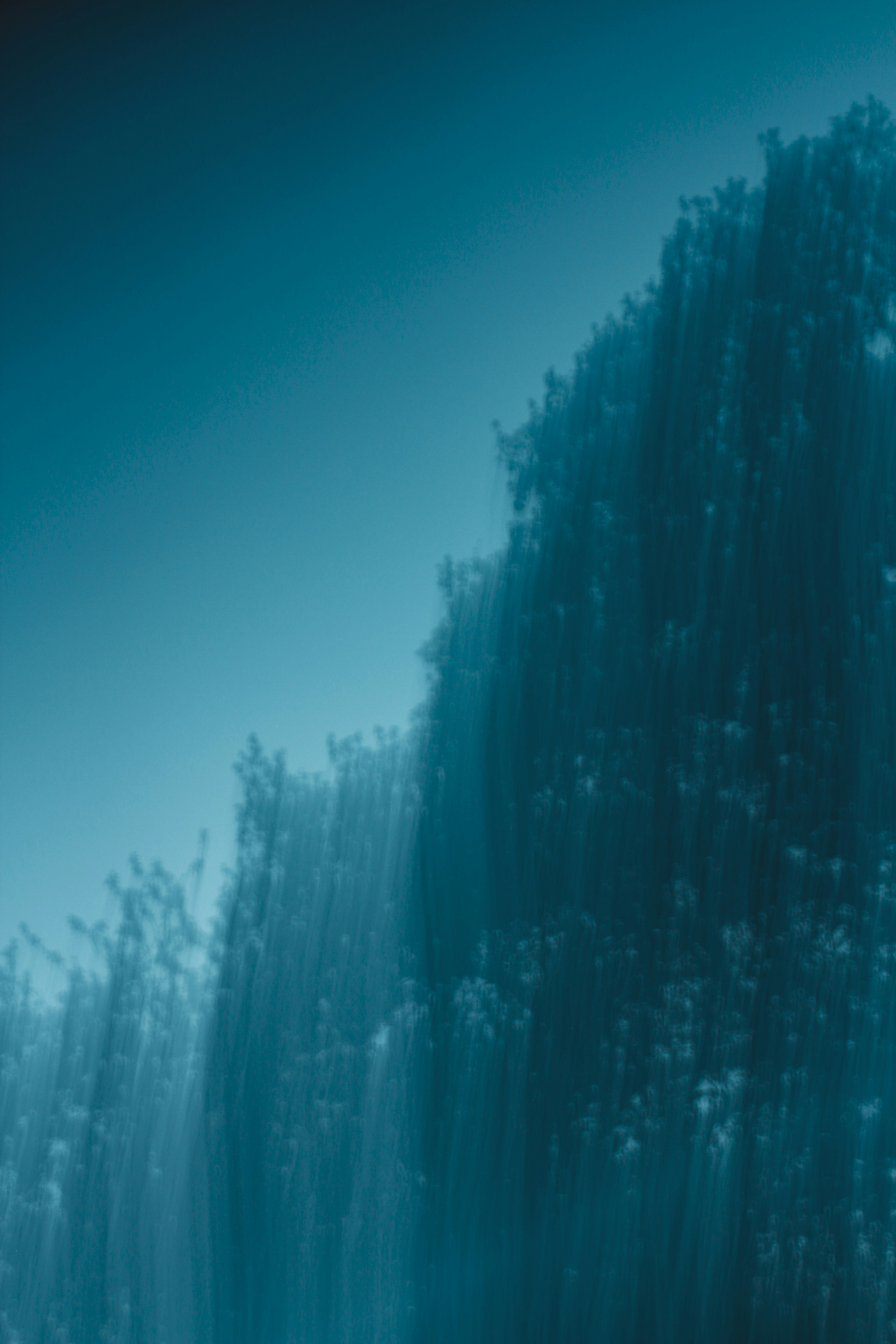 Photo by secondsight