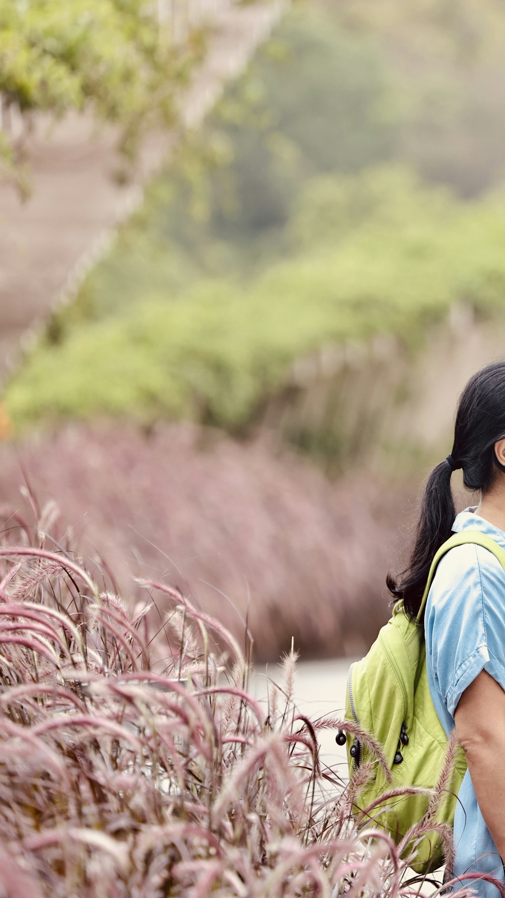 a person looking at a field