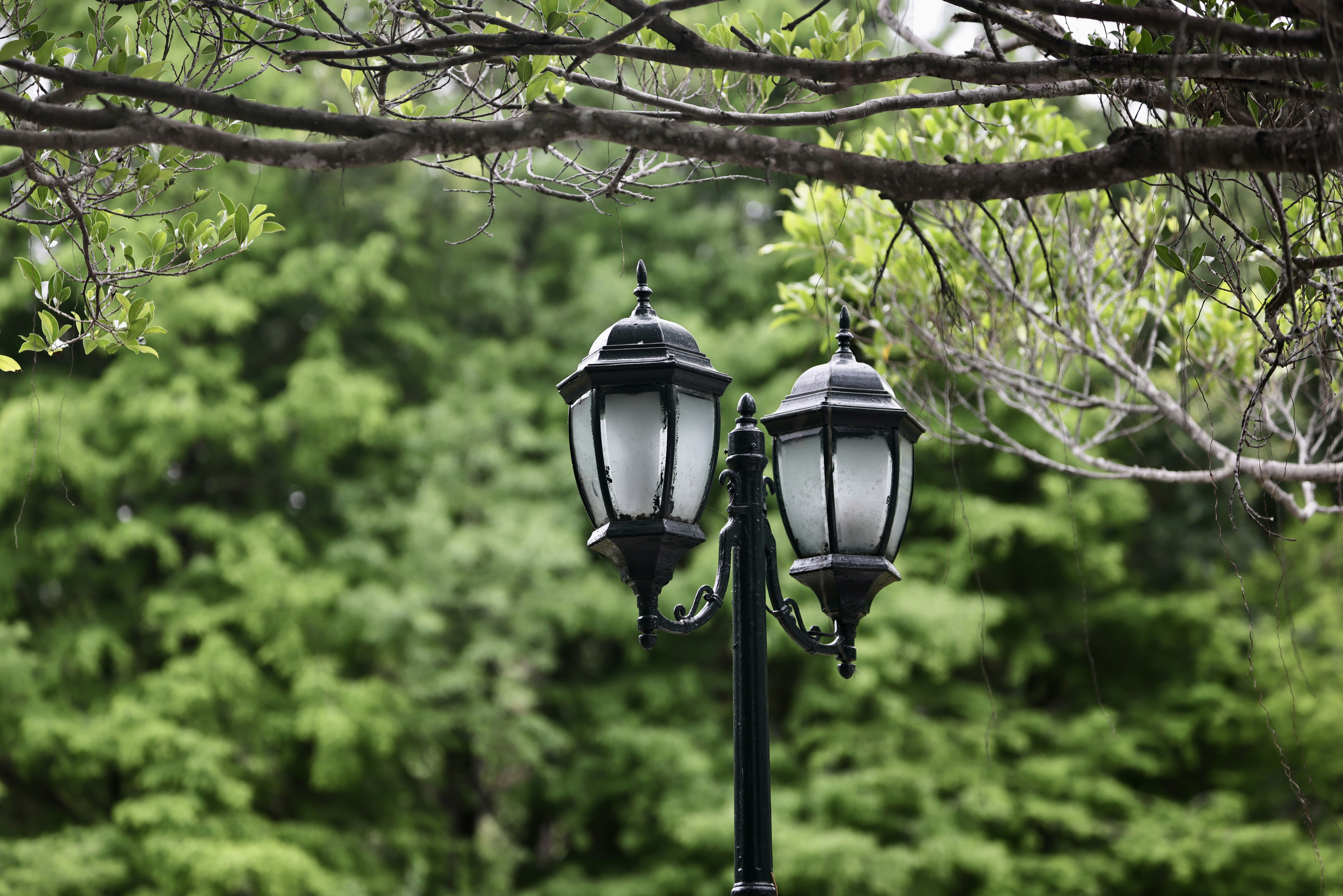 Photo by dickenslin76