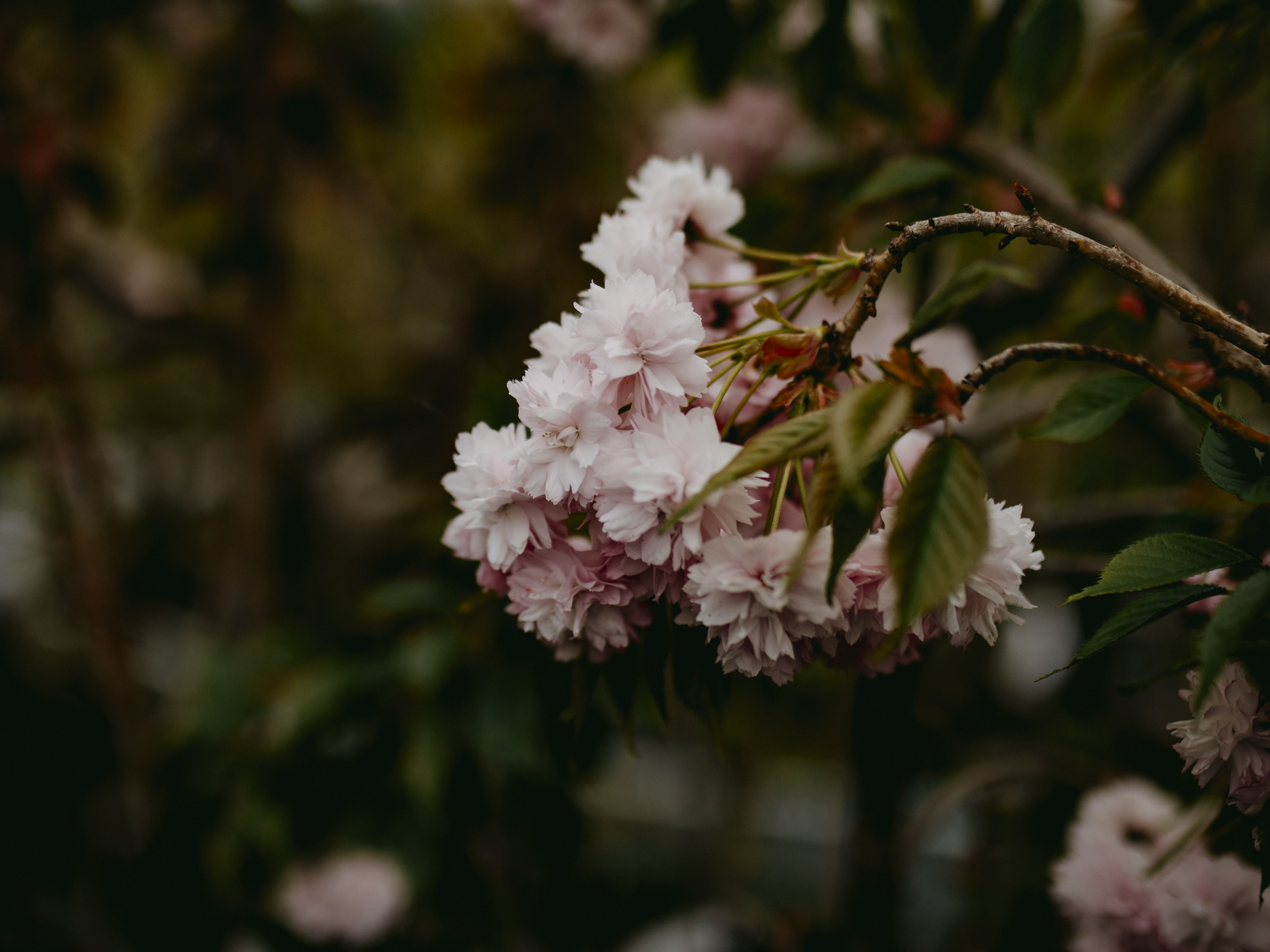 Photo by joel_chapman