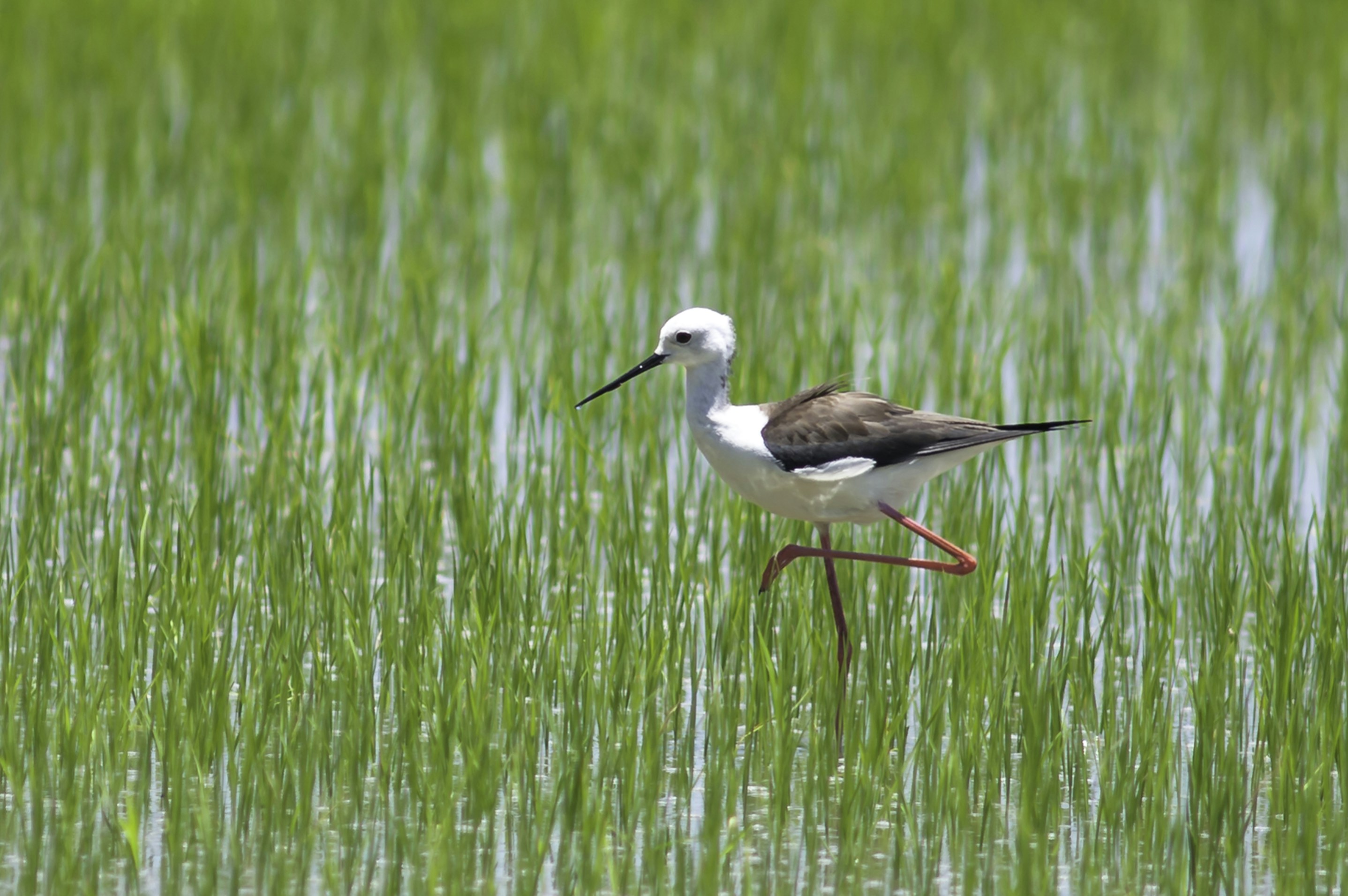 Photo by thom_oxford