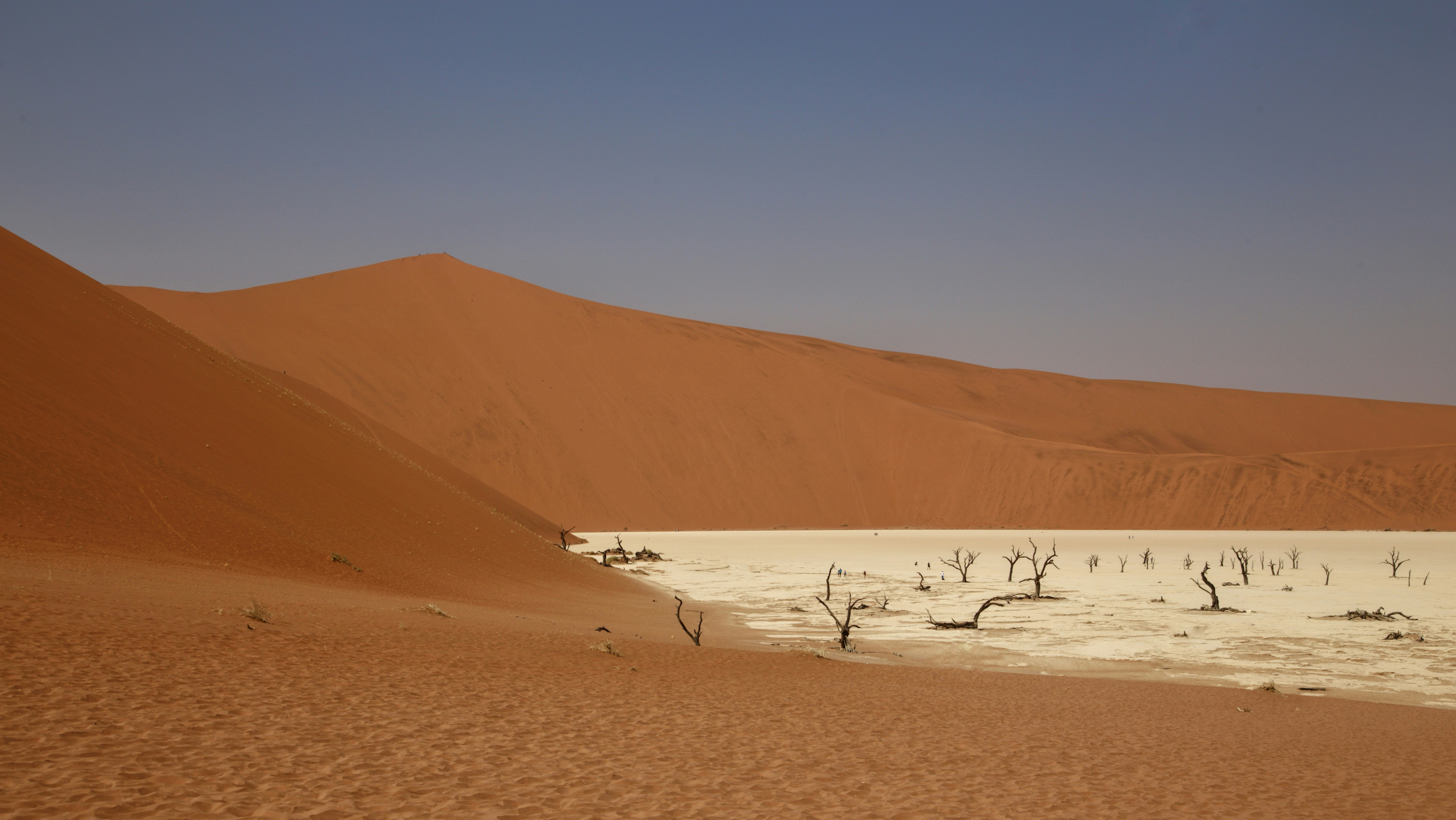 african desert landscape, wallpaper, Perang Somalia: Negara Gagal dan Intervensi 4