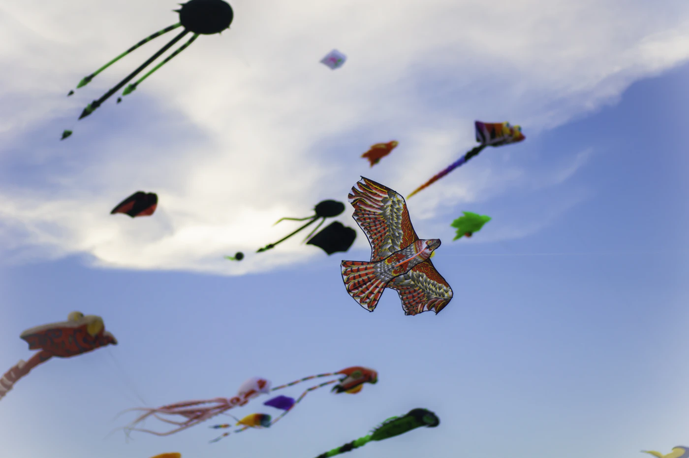 Colorful kites flying in a blue sky at a kite festival