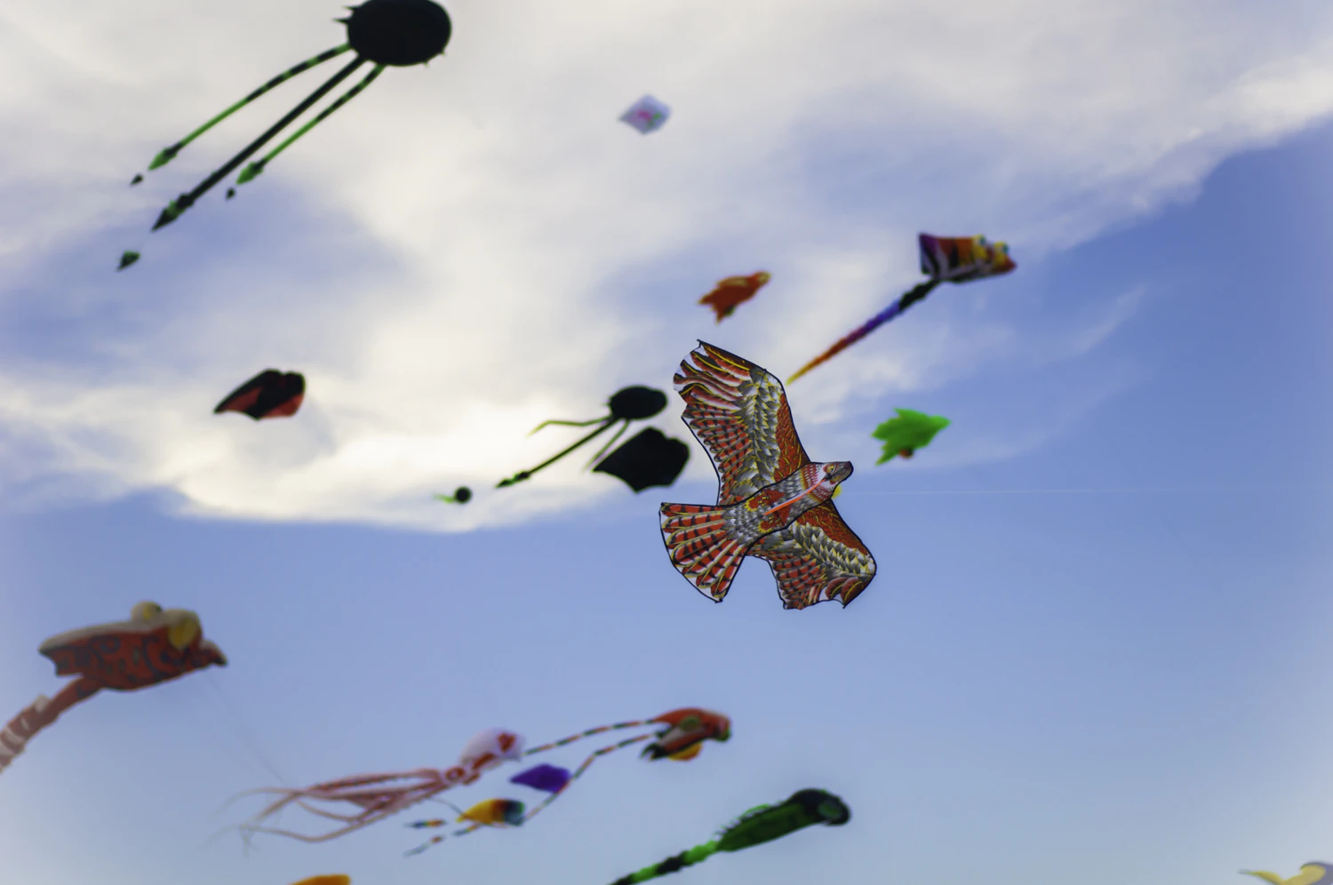 An eagle kite with spread brown wings flying among other kites